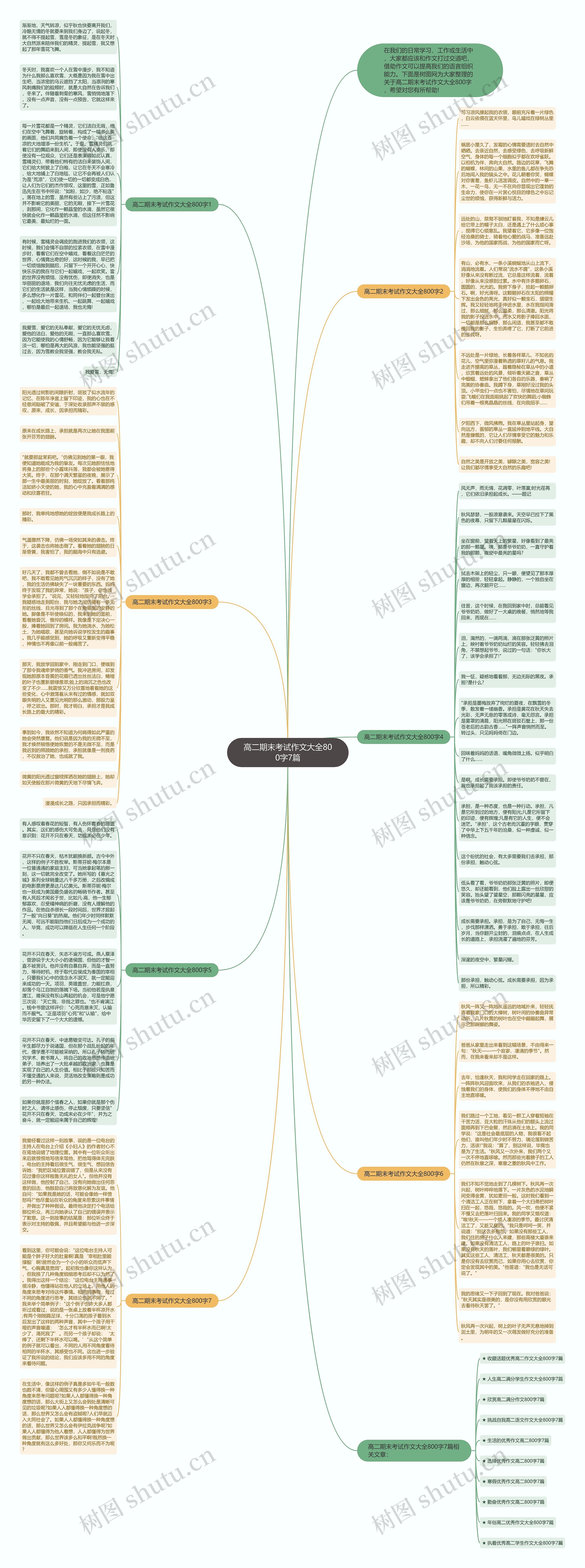 高二期末考试作文大全800字7篇思维导图
