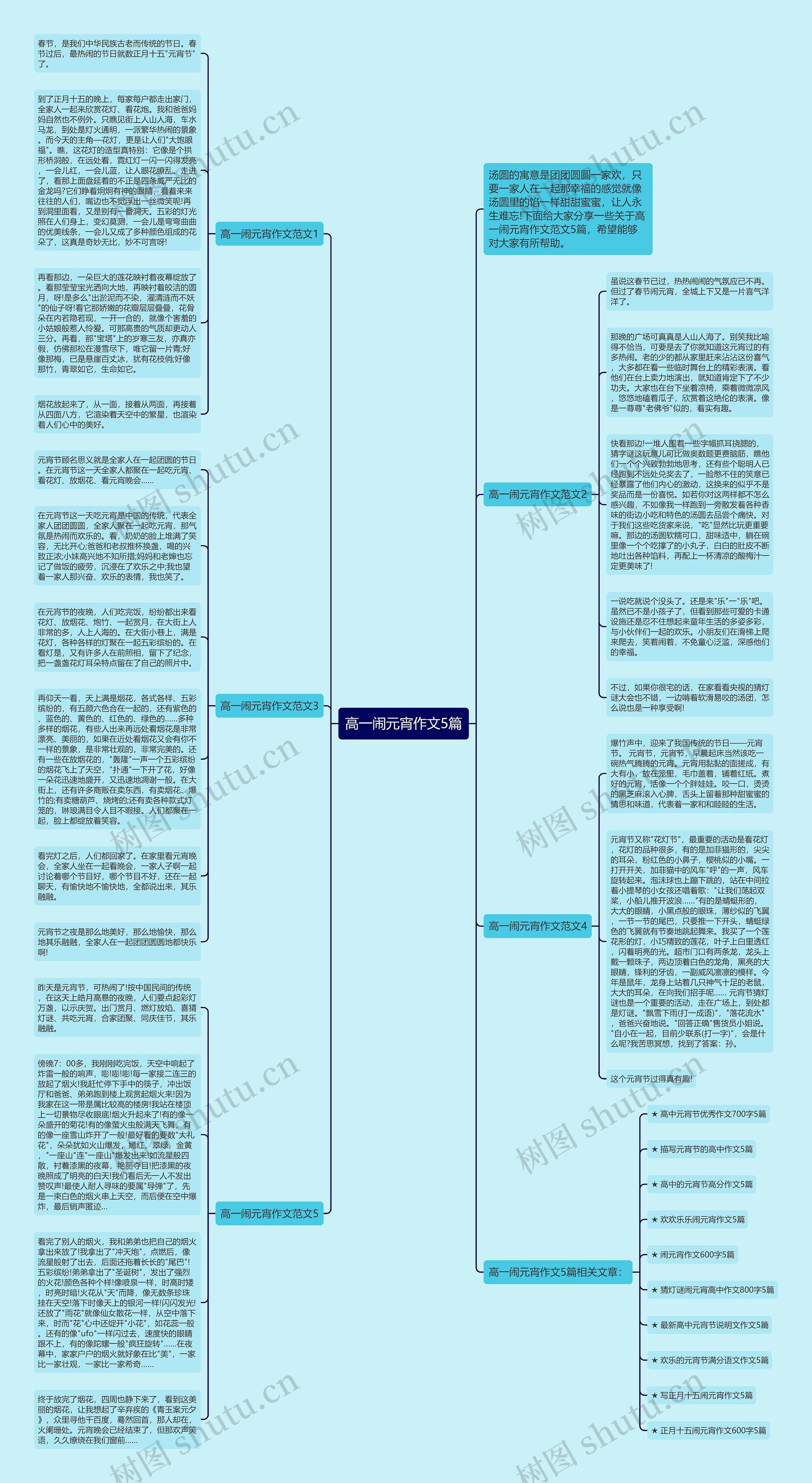 高一闹元宵作文5篇思维导图