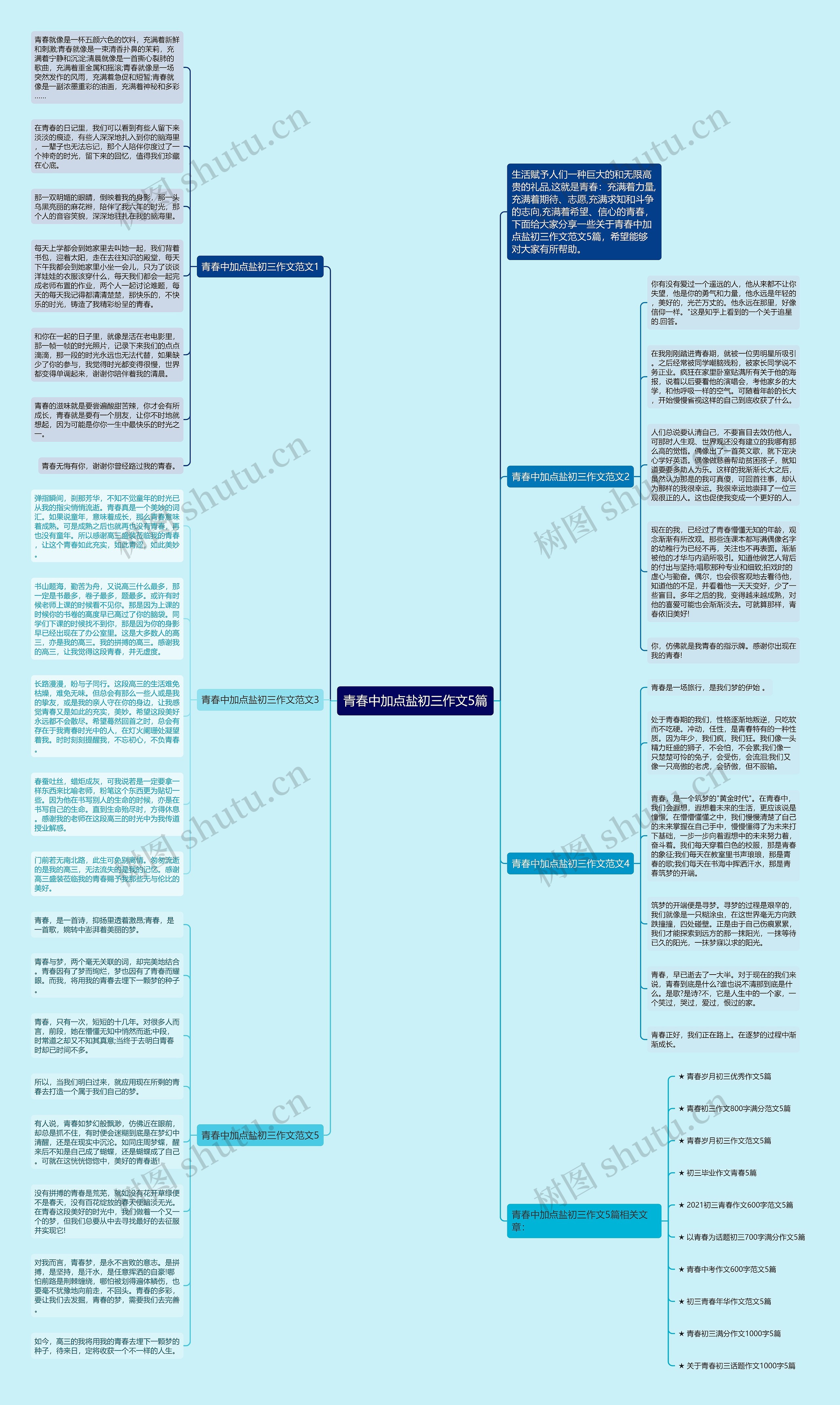 青春中加点盐初三作文5篇思维导图