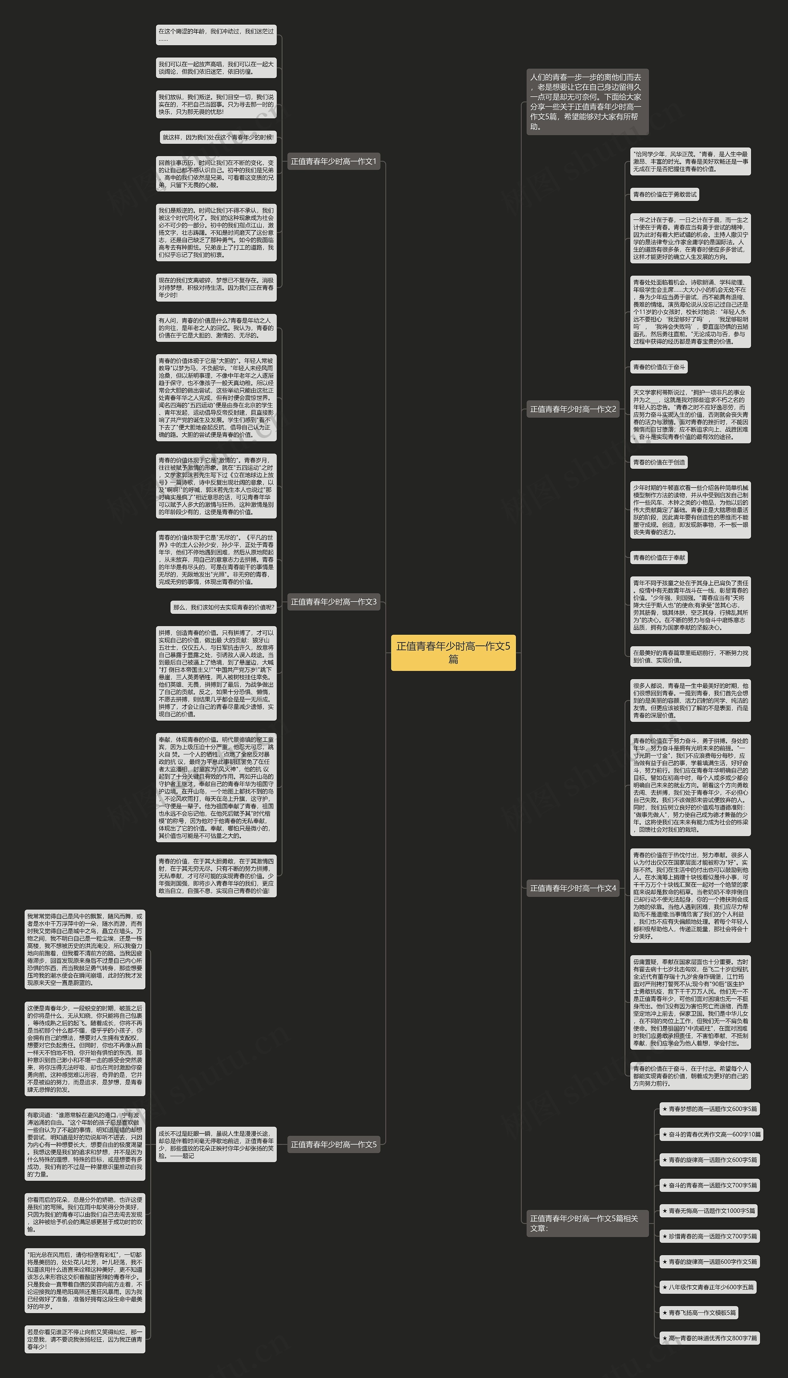 正值青春年少时高一作文5篇思维导图