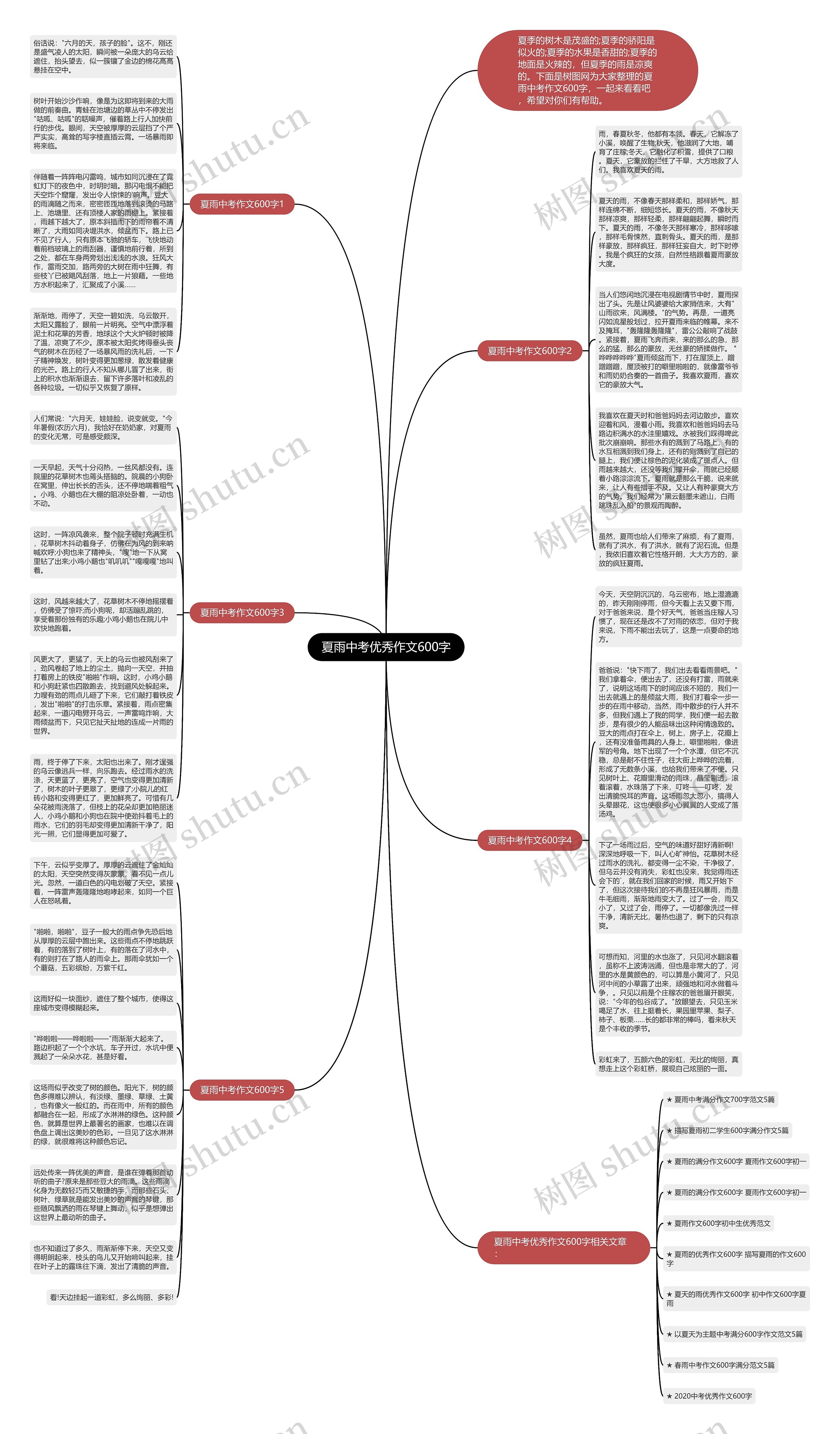 夏雨中考优秀作文600字思维导图