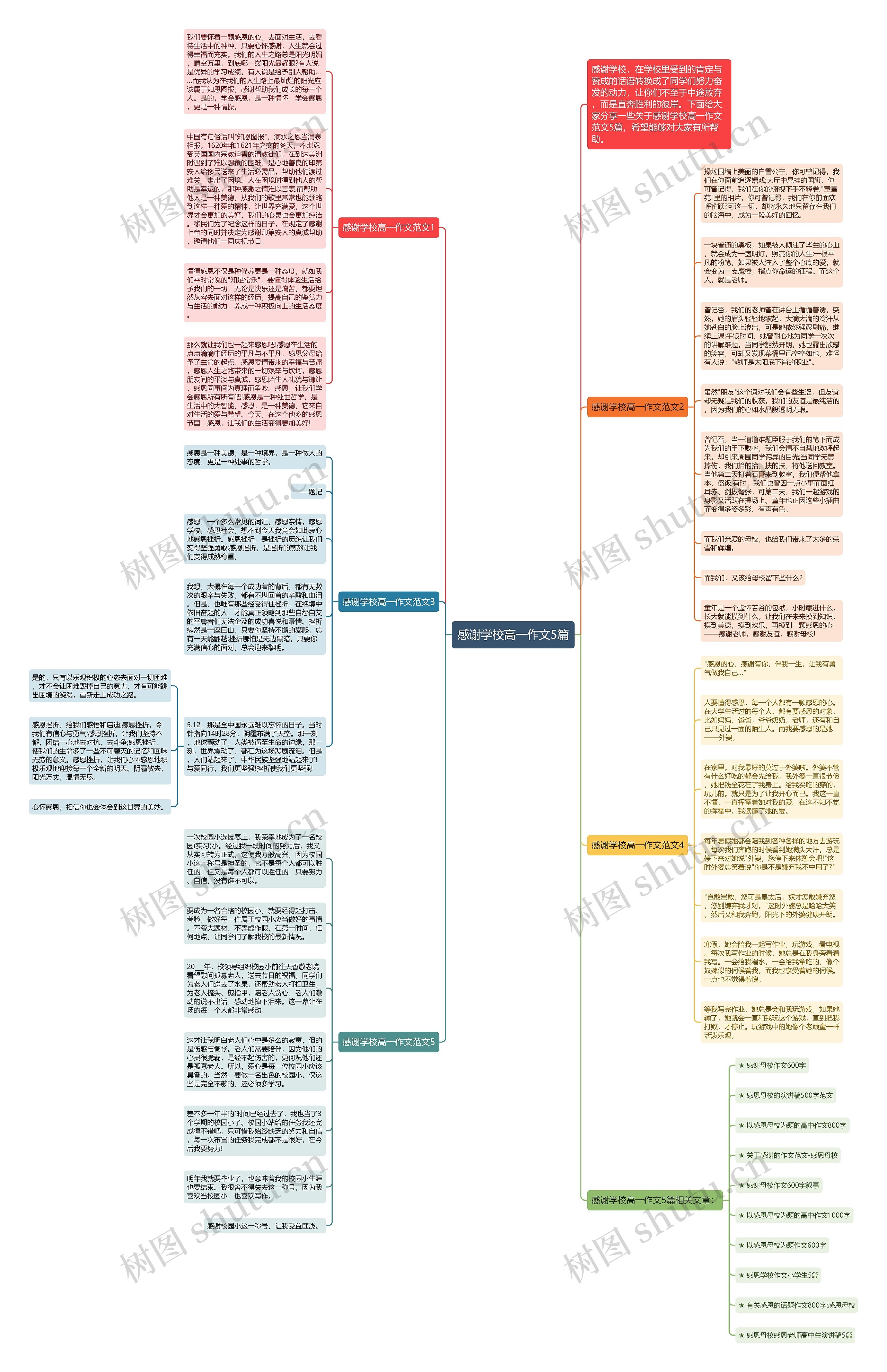 感谢学校高一作文5篇思维导图