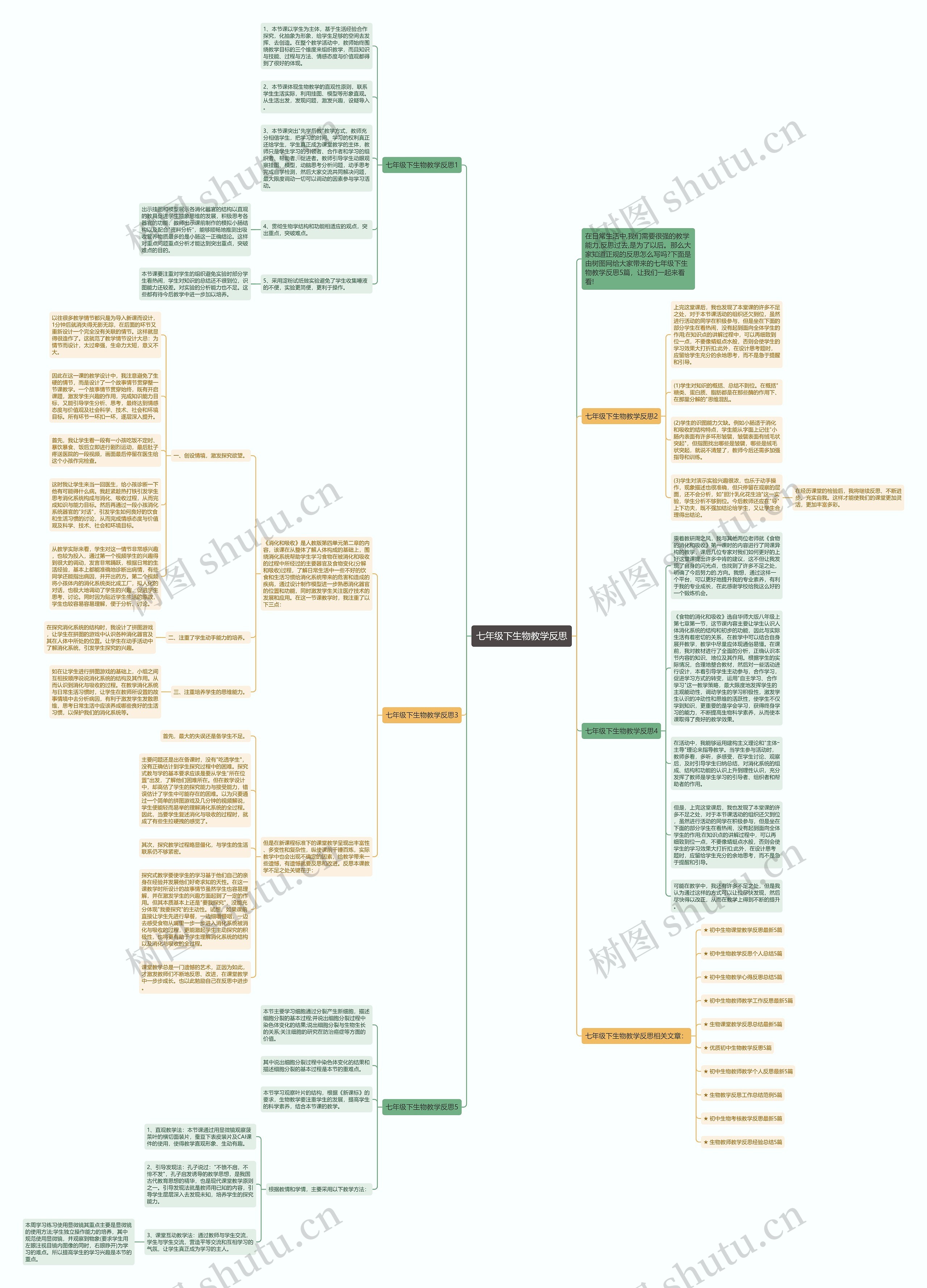 七年级下生物教学反思思维导图