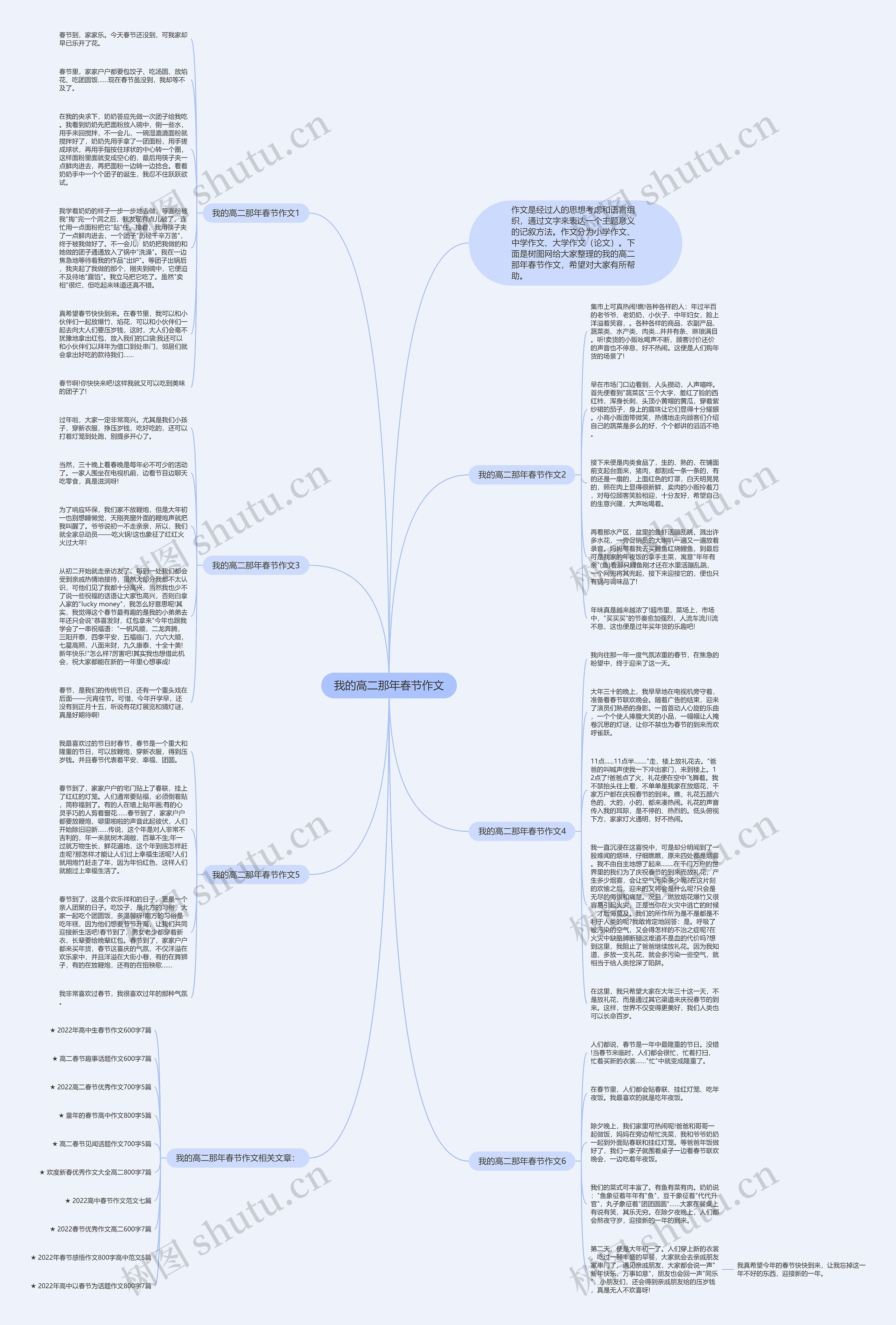 我的高二那年春节作文思维导图