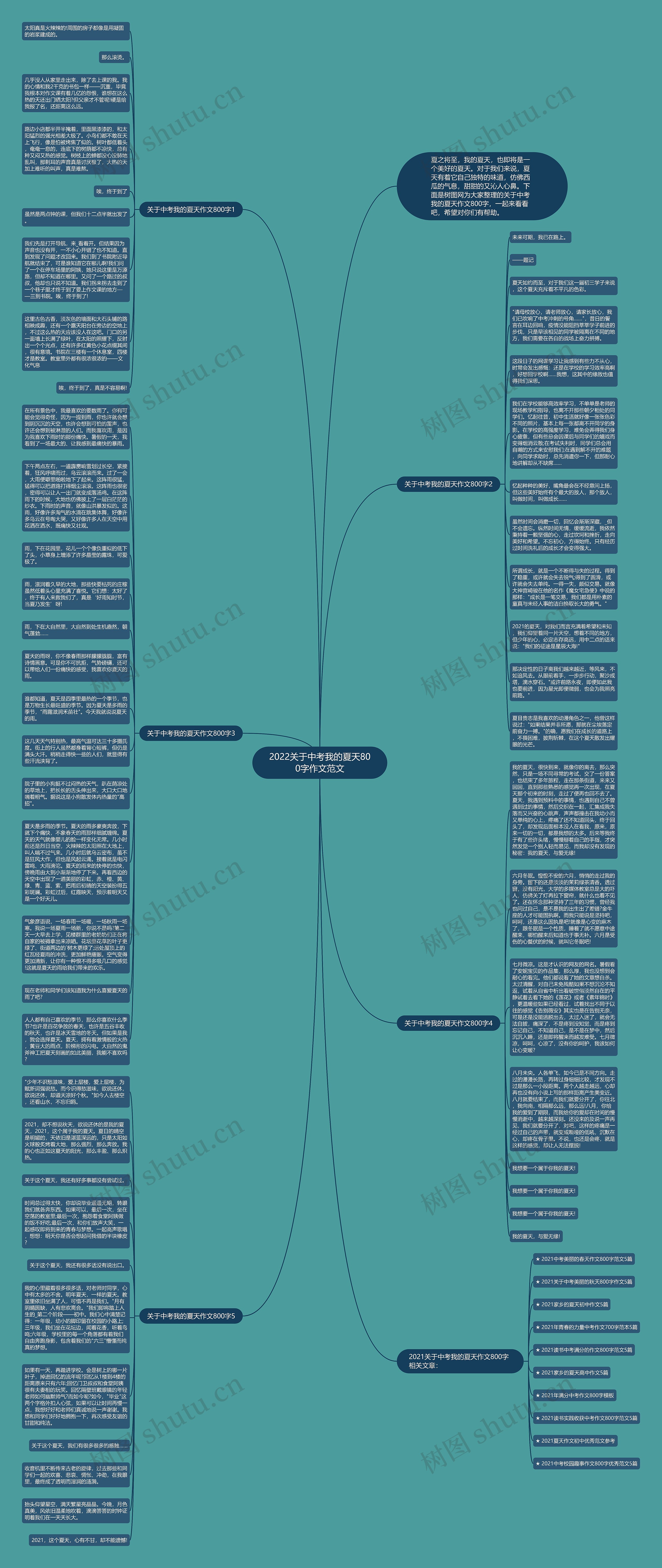 2022关于中考我的夏天800字作文范文思维导图