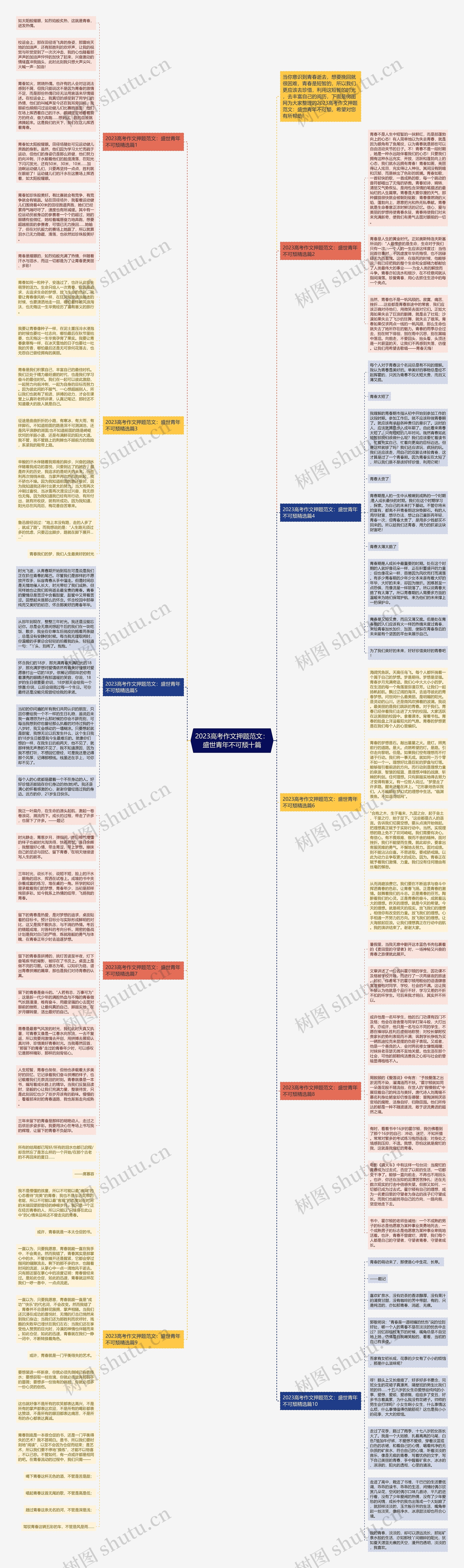 2023高考作文押题范文：盛世青年不可颓十篇思维导图