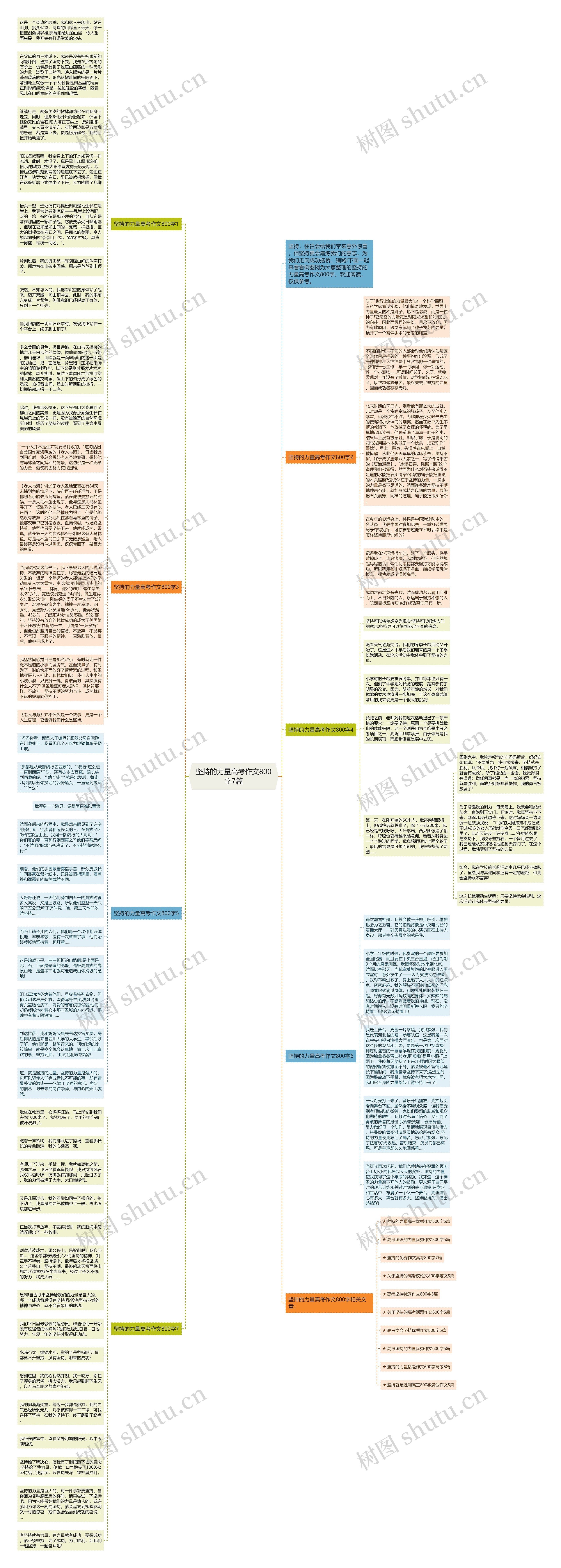 坚持的力量高考作文800字7篇思维导图