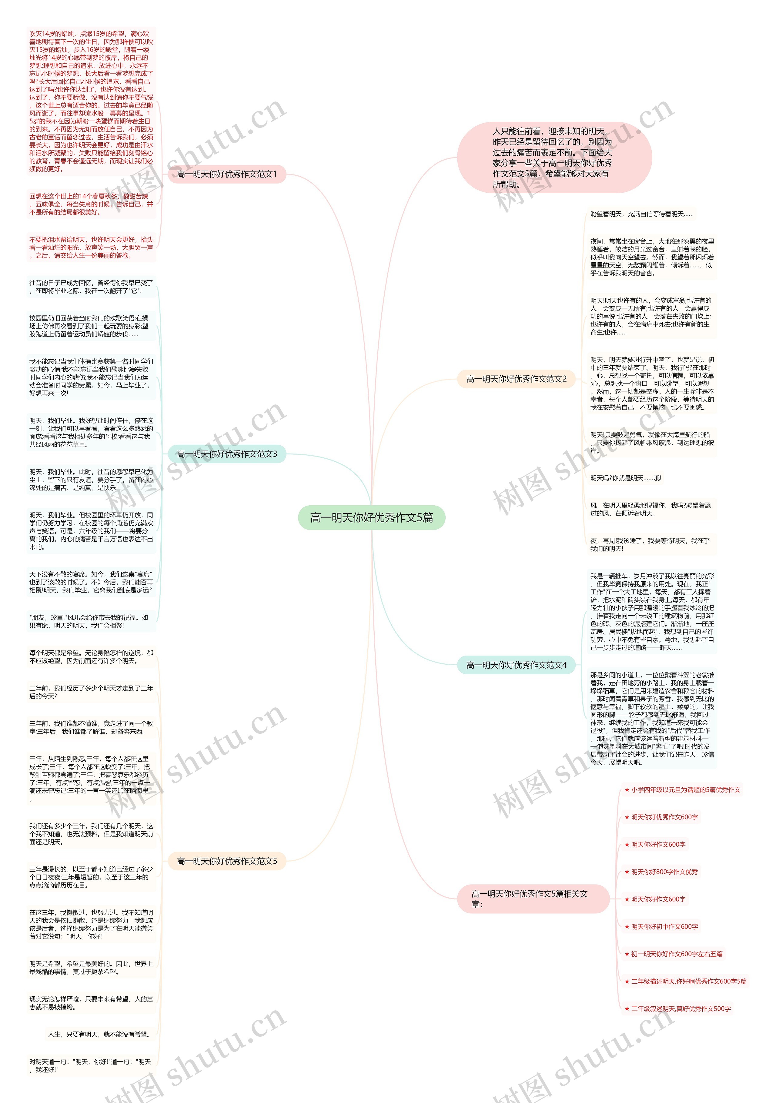 高一明天你好优秀作文5篇思维导图