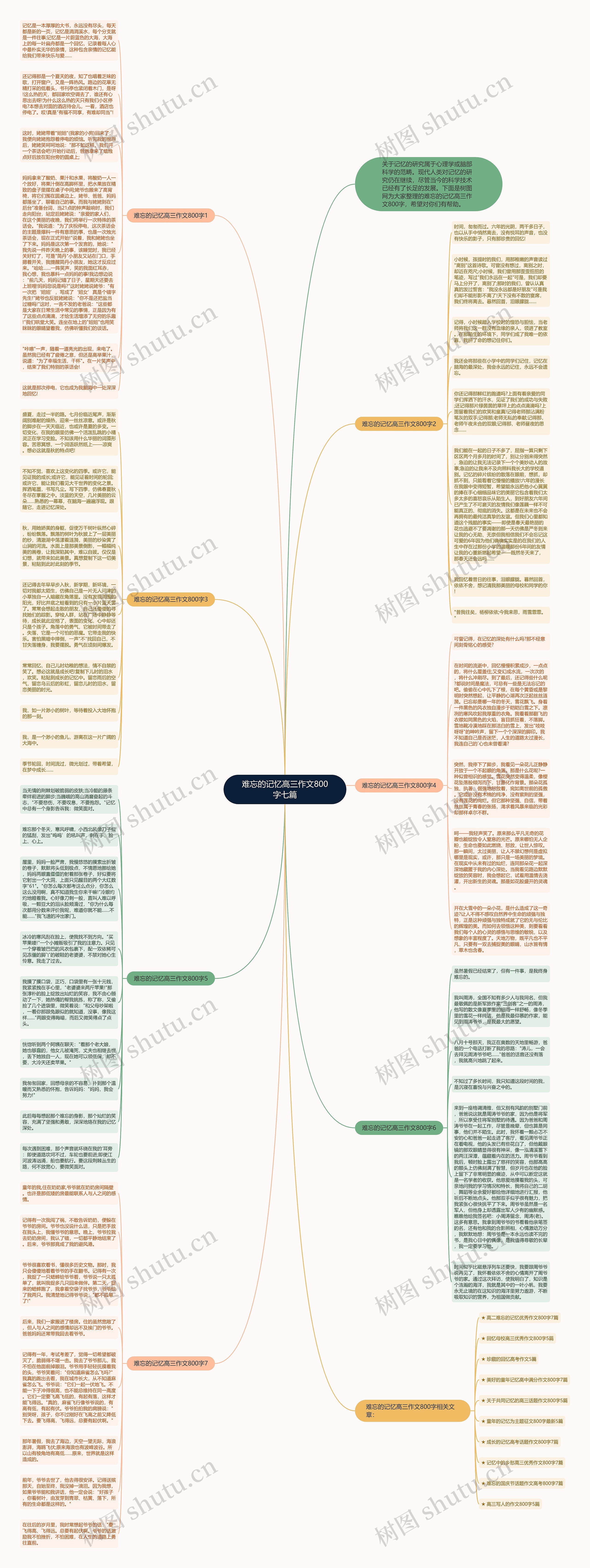 难忘的记忆高三作文800字七篇思维导图