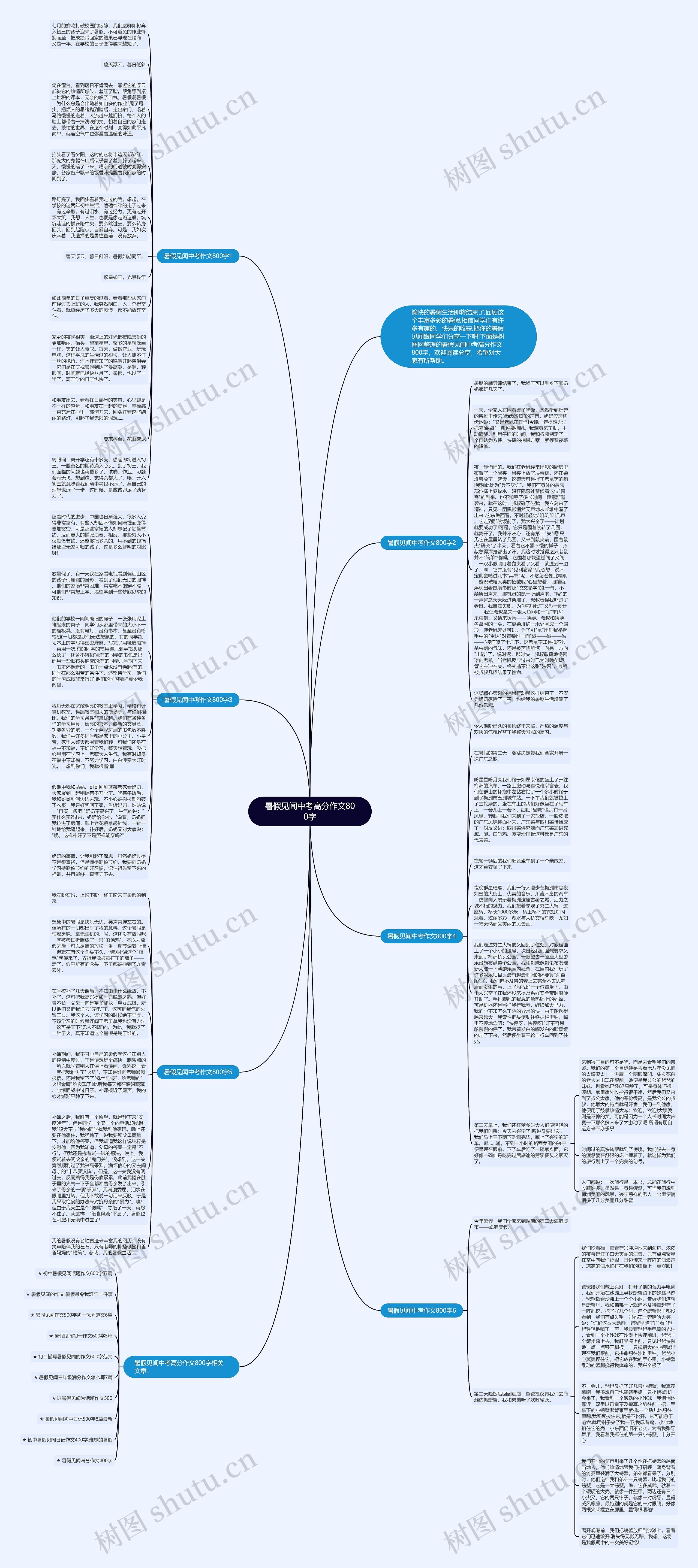 暑假见闻中考高分作文800字思维导图