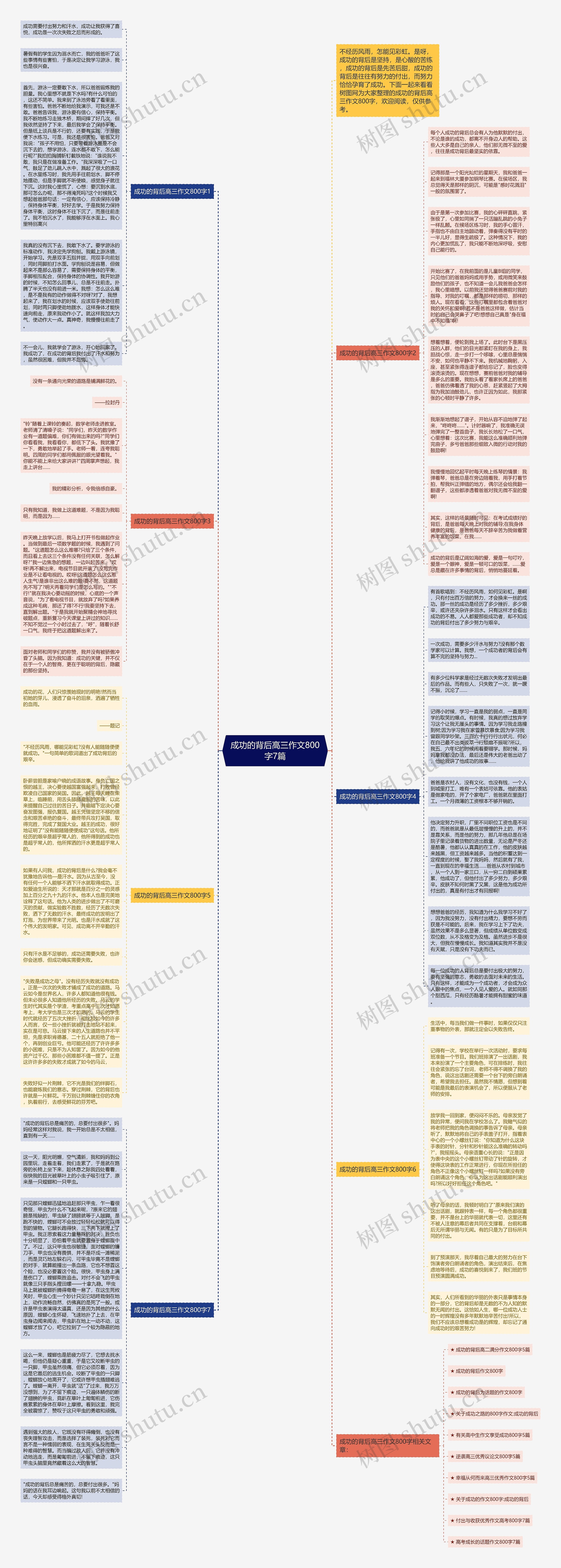 成功的背后高三作文800字7篇思维导图