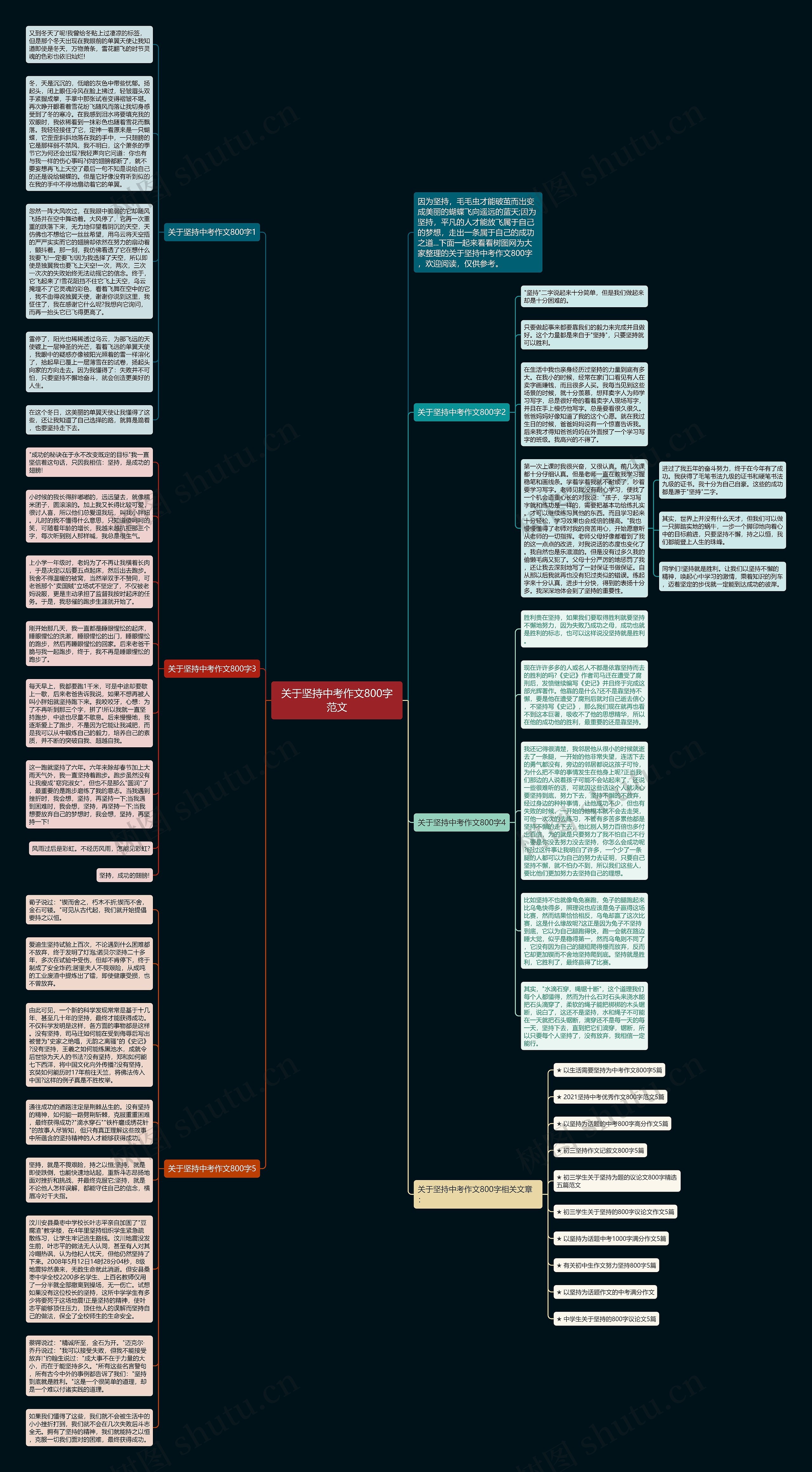 关于坚持中考作文800字范文
