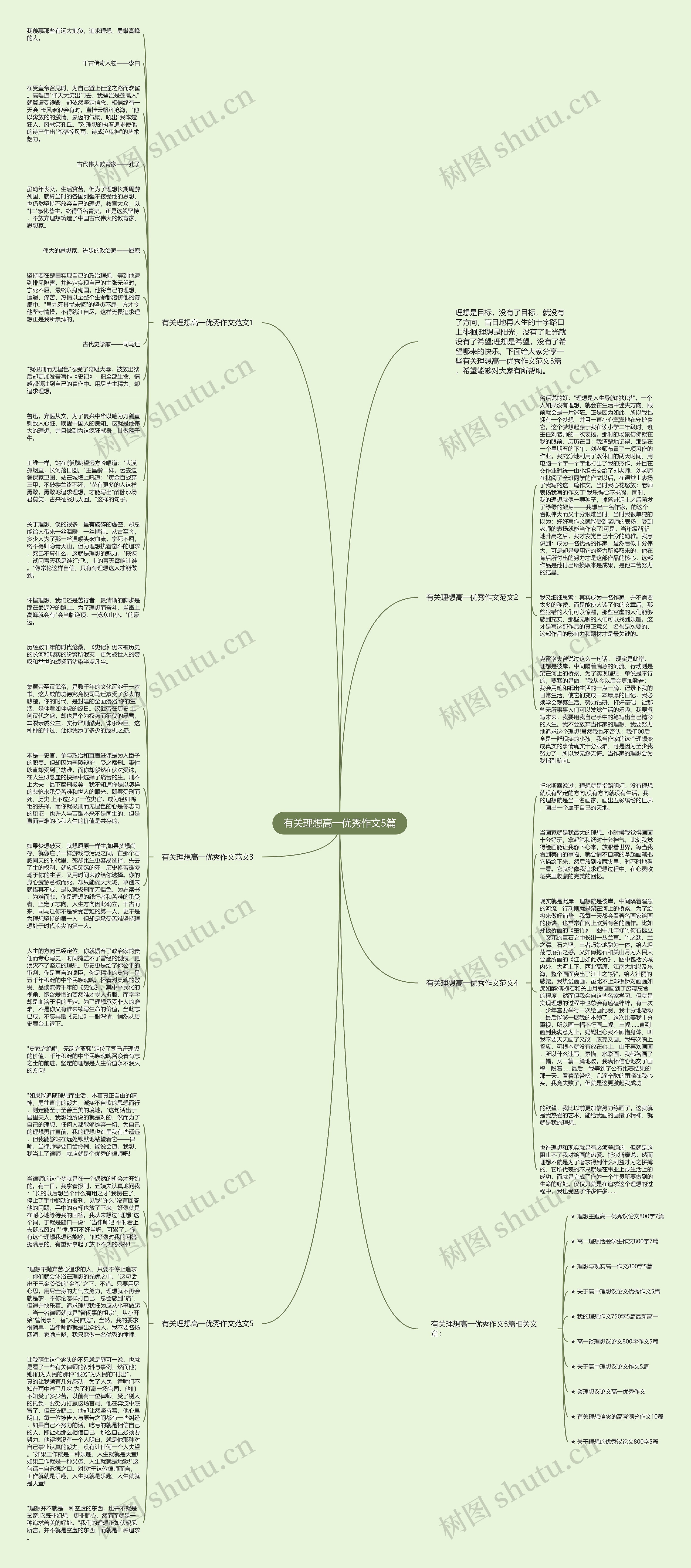 有关理想高一优秀作文5篇思维导图