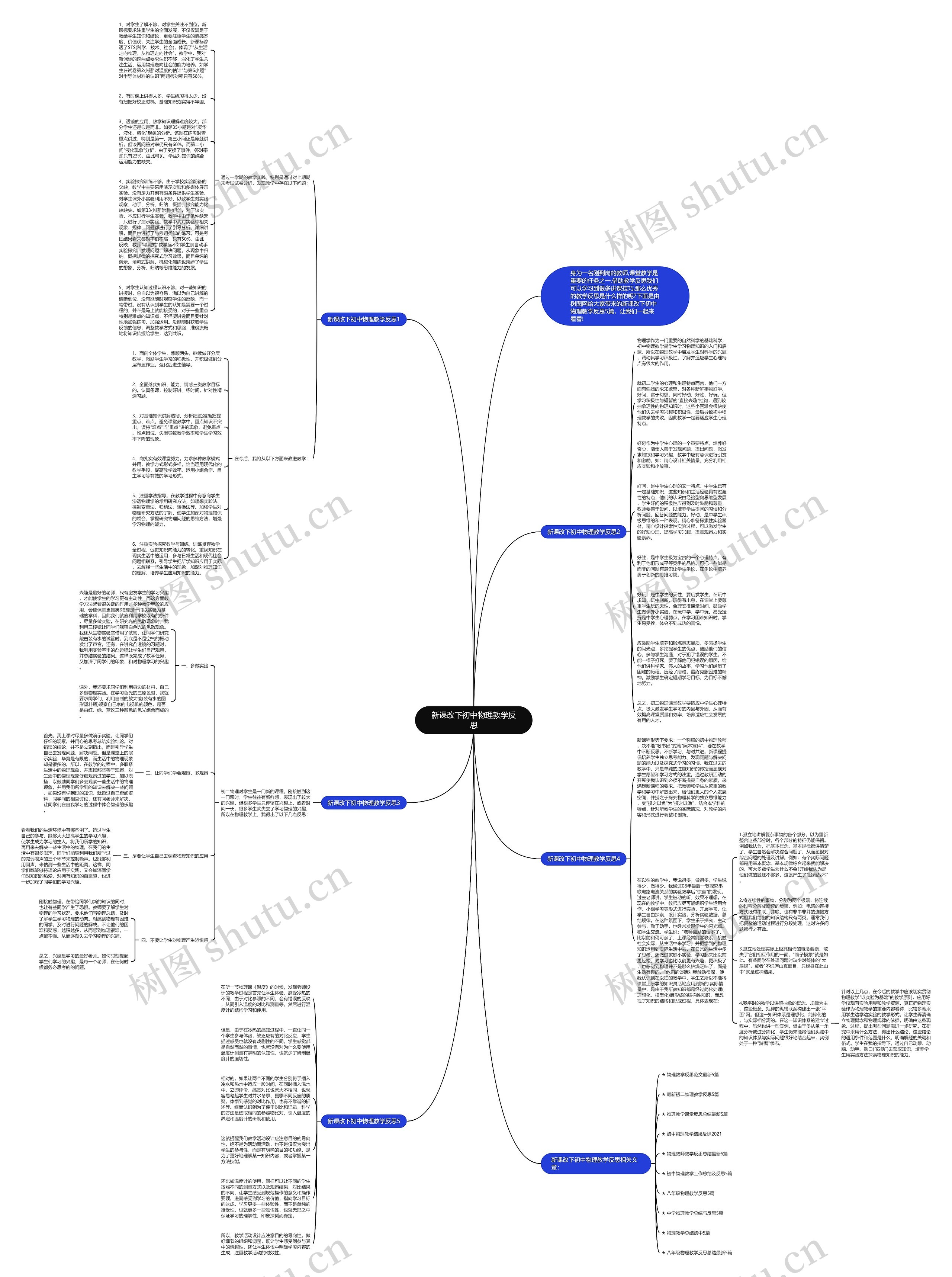 新课改下初中物理教学反思思维导图