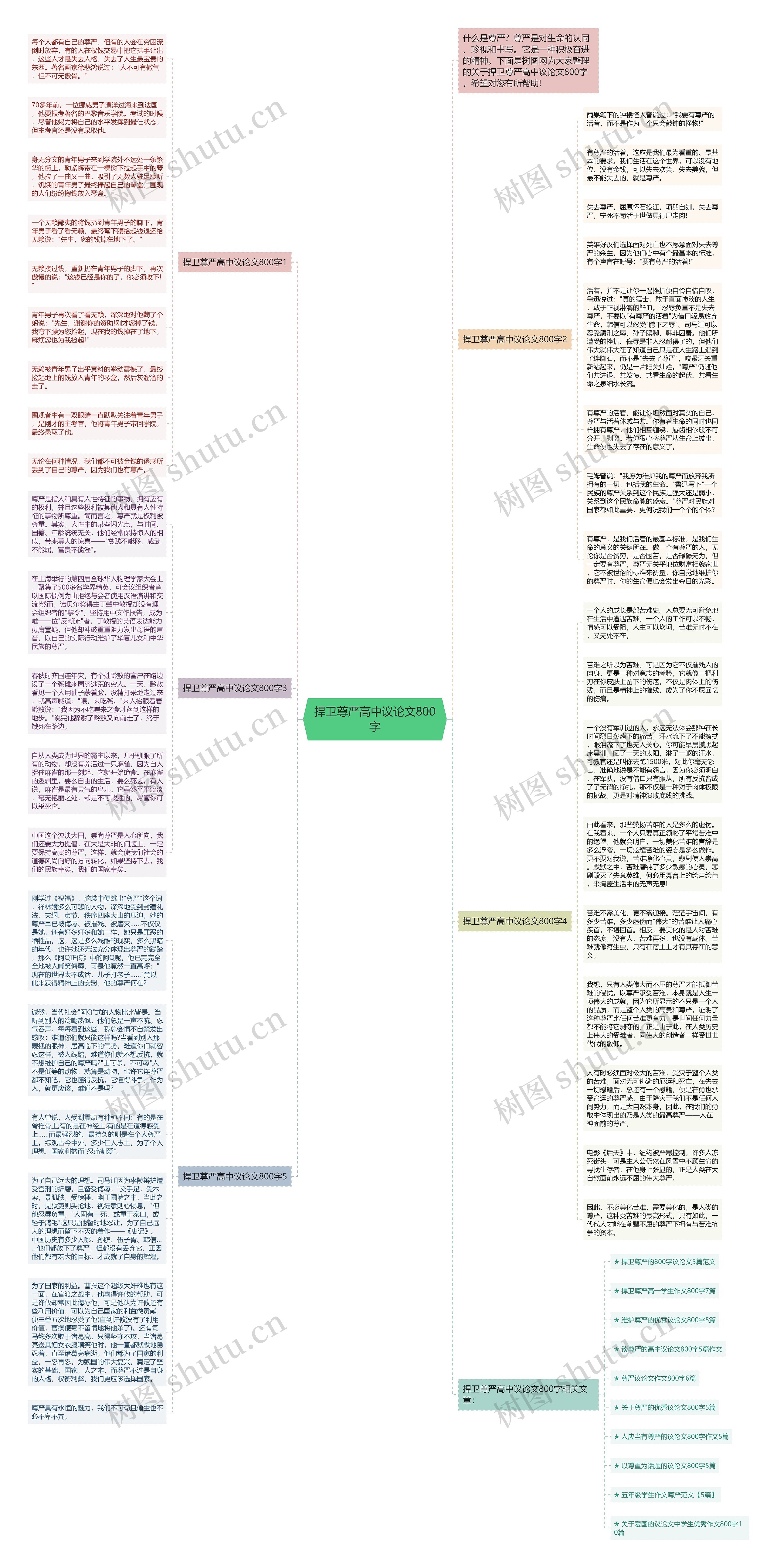捍卫尊严高中议论文800字思维导图