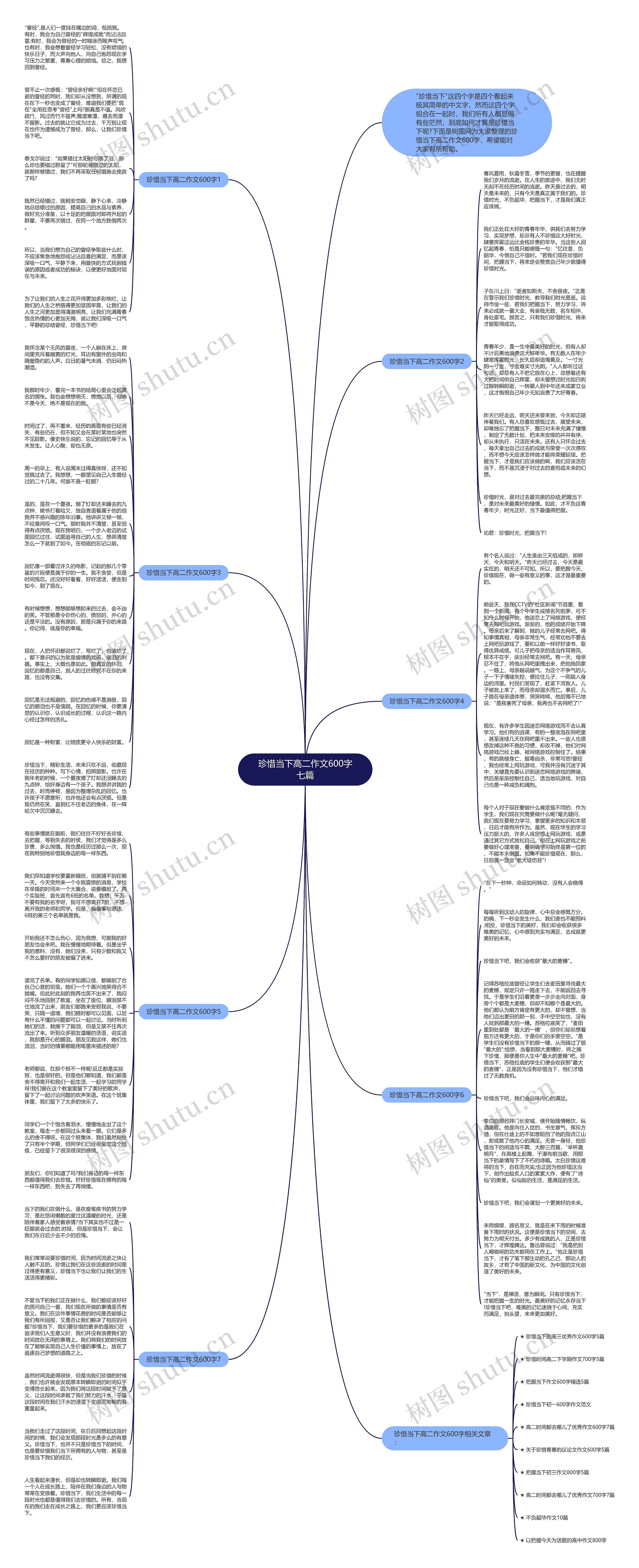 珍惜当下高二作文600字七篇思维导图