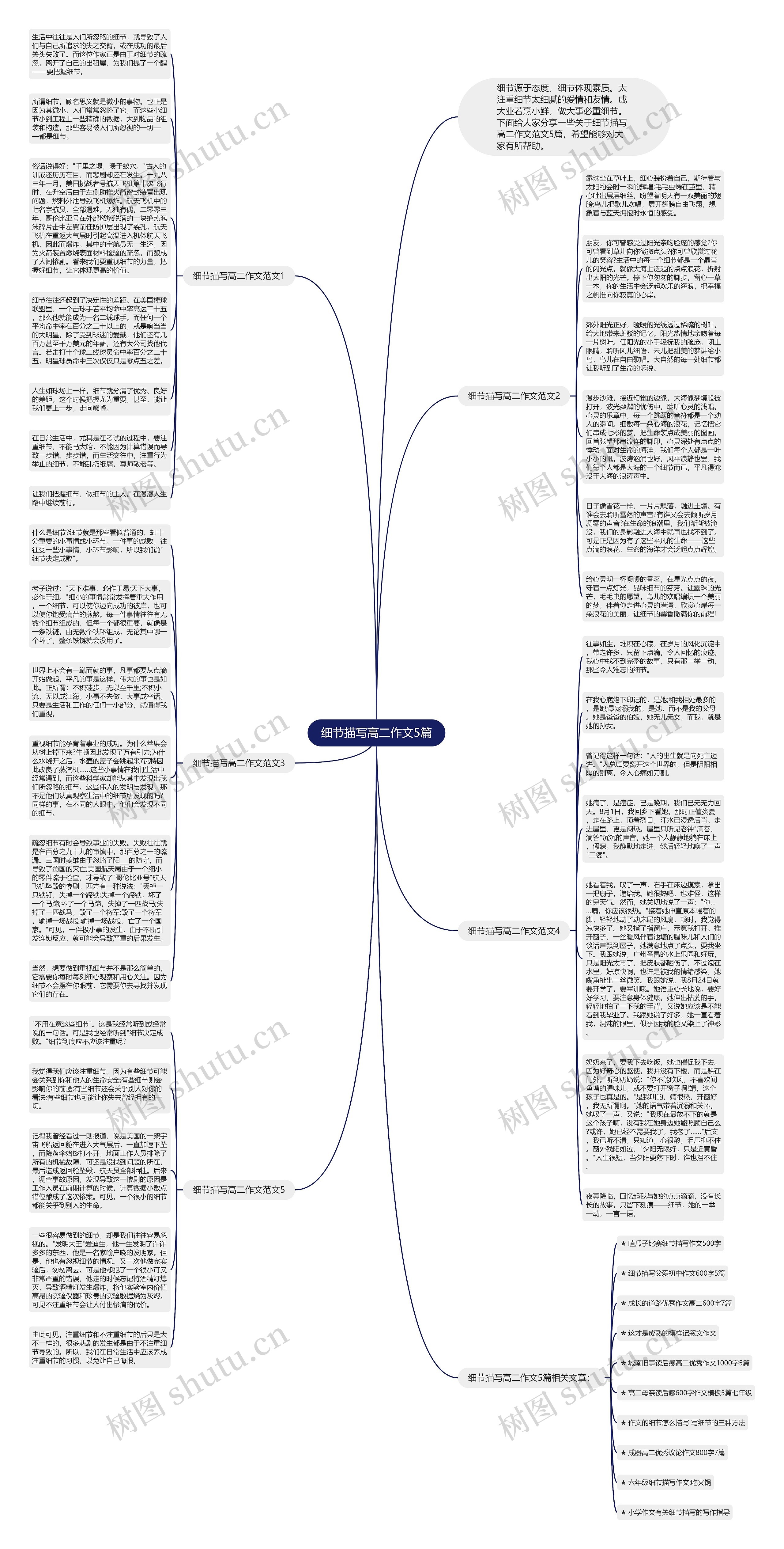 细节描写高二作文5篇思维导图