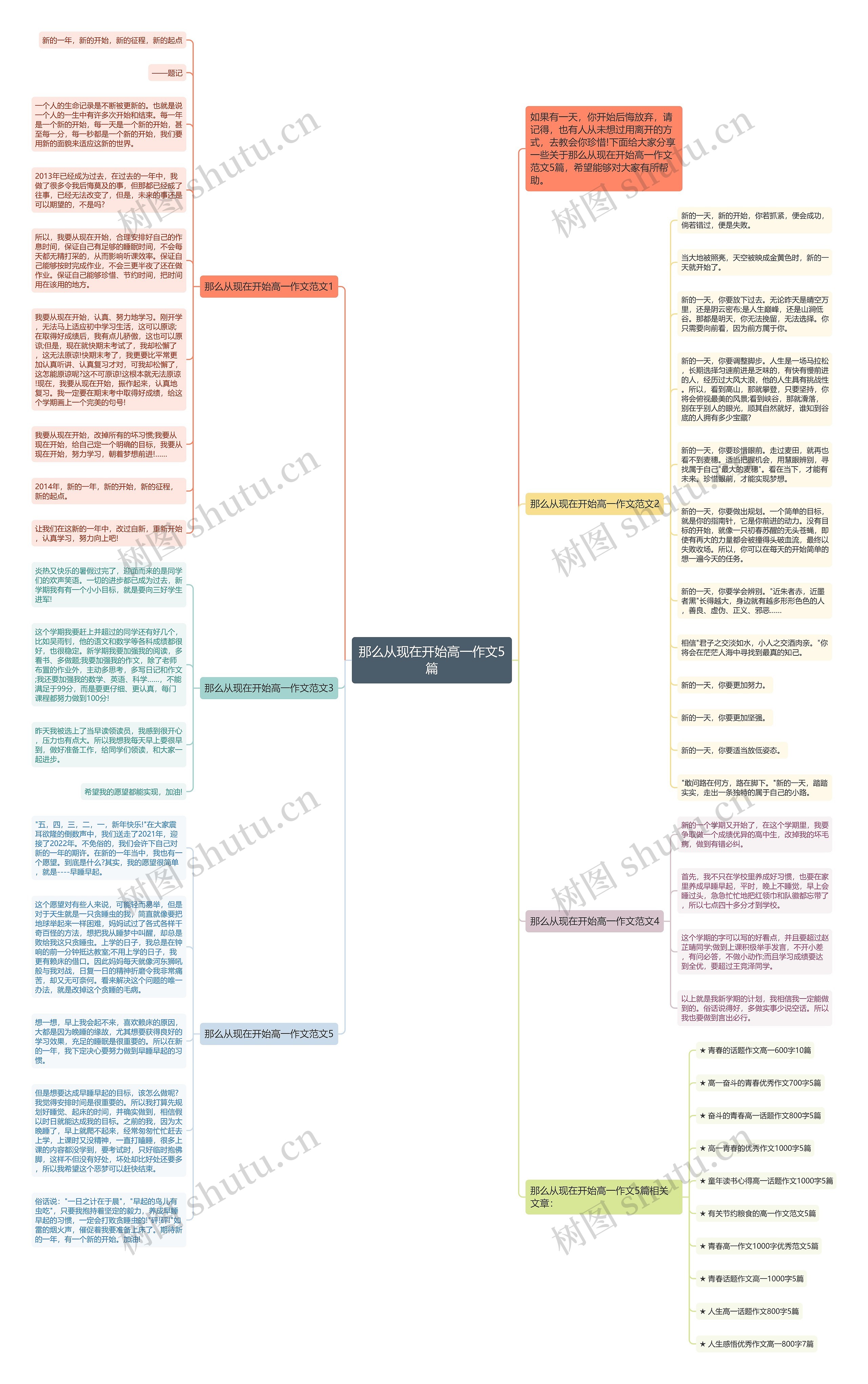 那么从现在开始高一作文5篇思维导图
