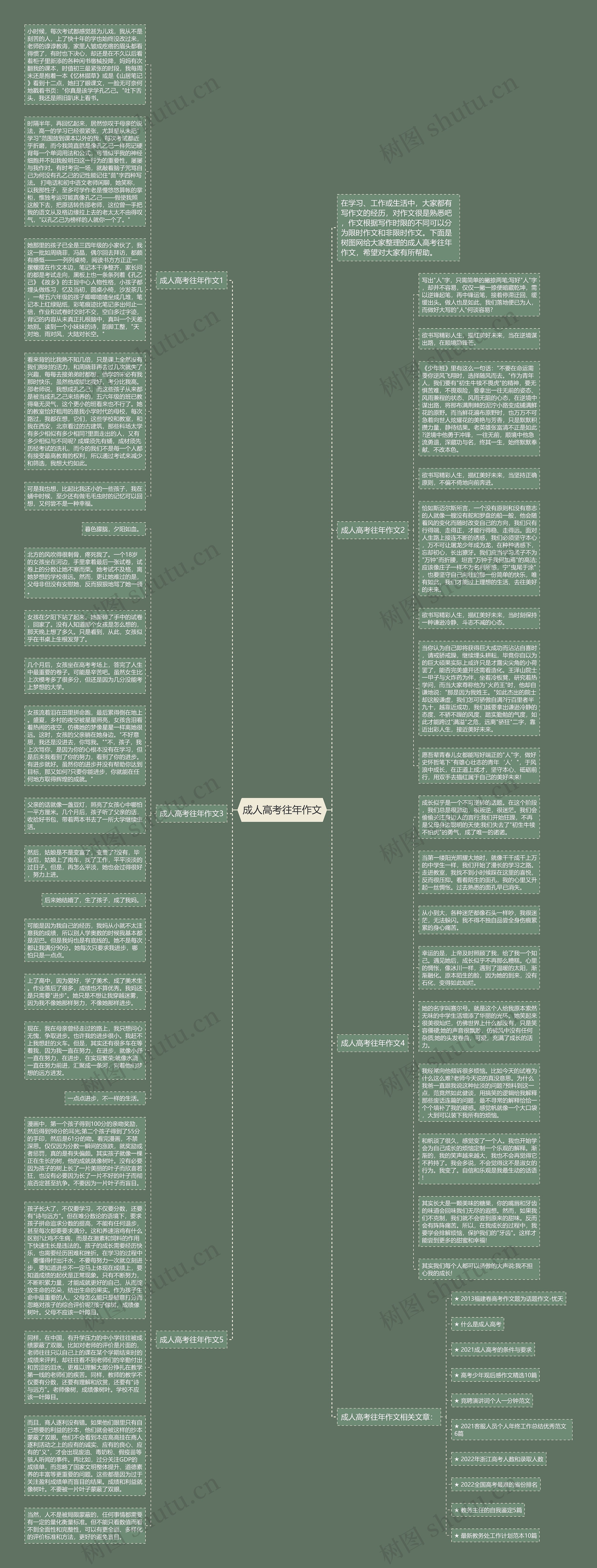 成人高考往年作文思维导图
