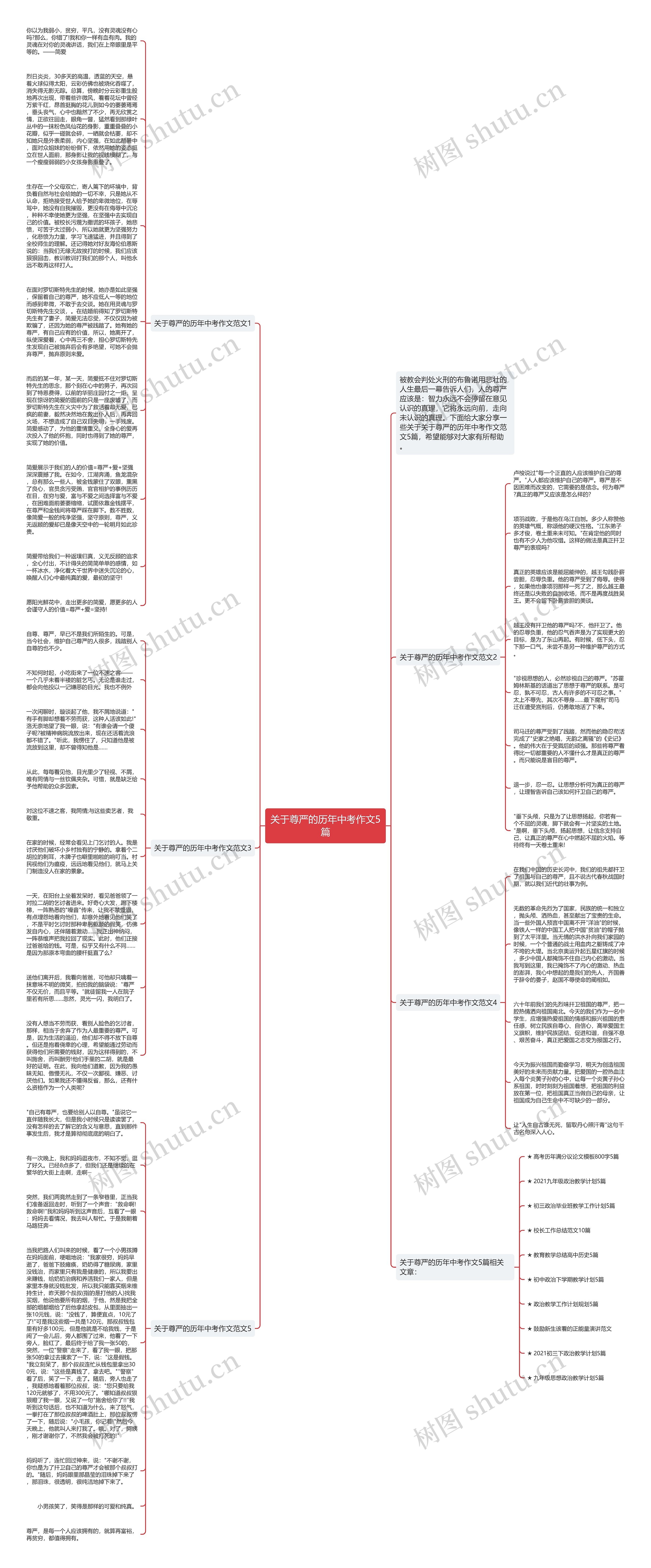 关于尊严的历年中考作文5篇思维导图