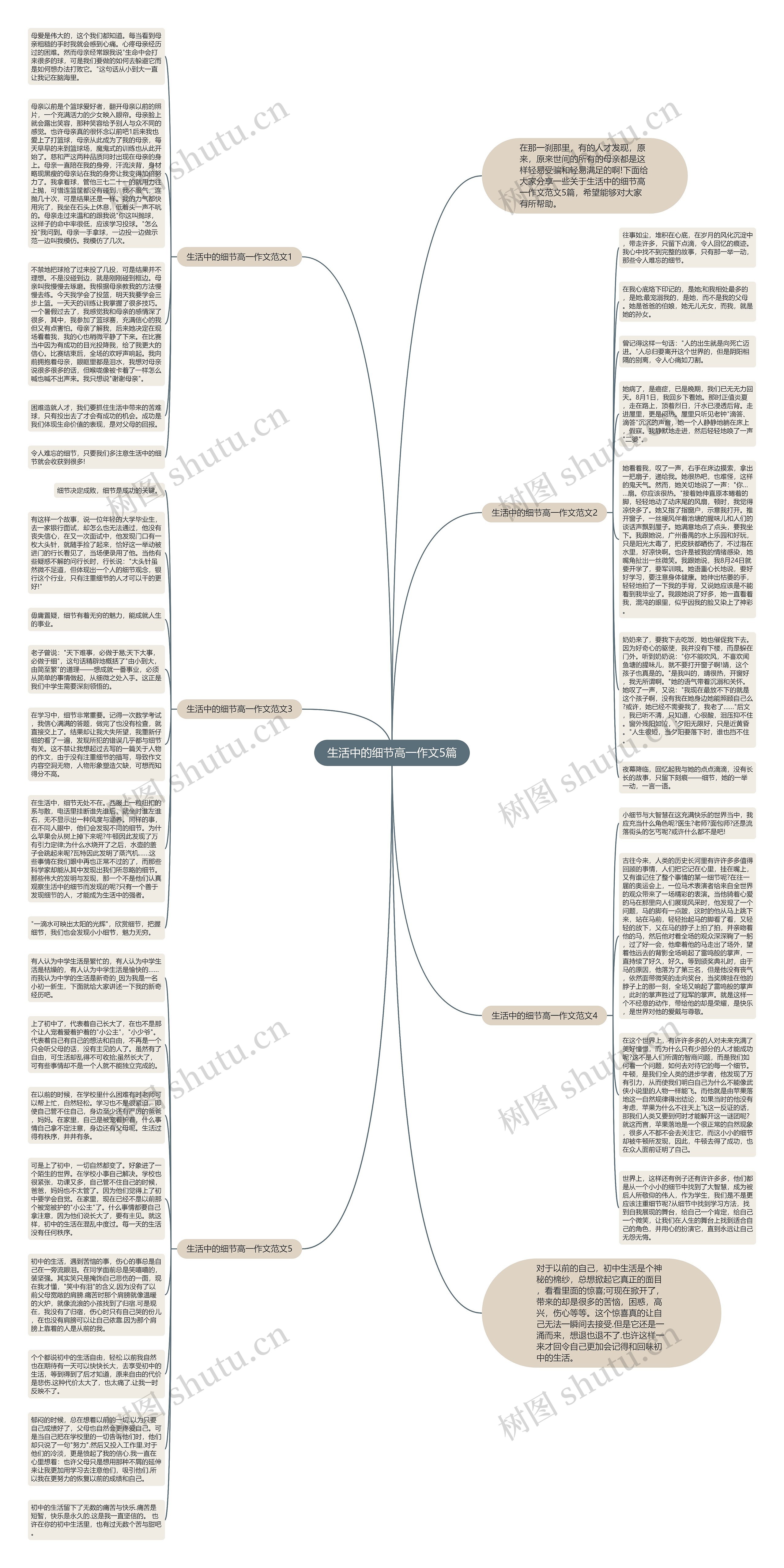 生活中的细节高一作文5篇思维导图