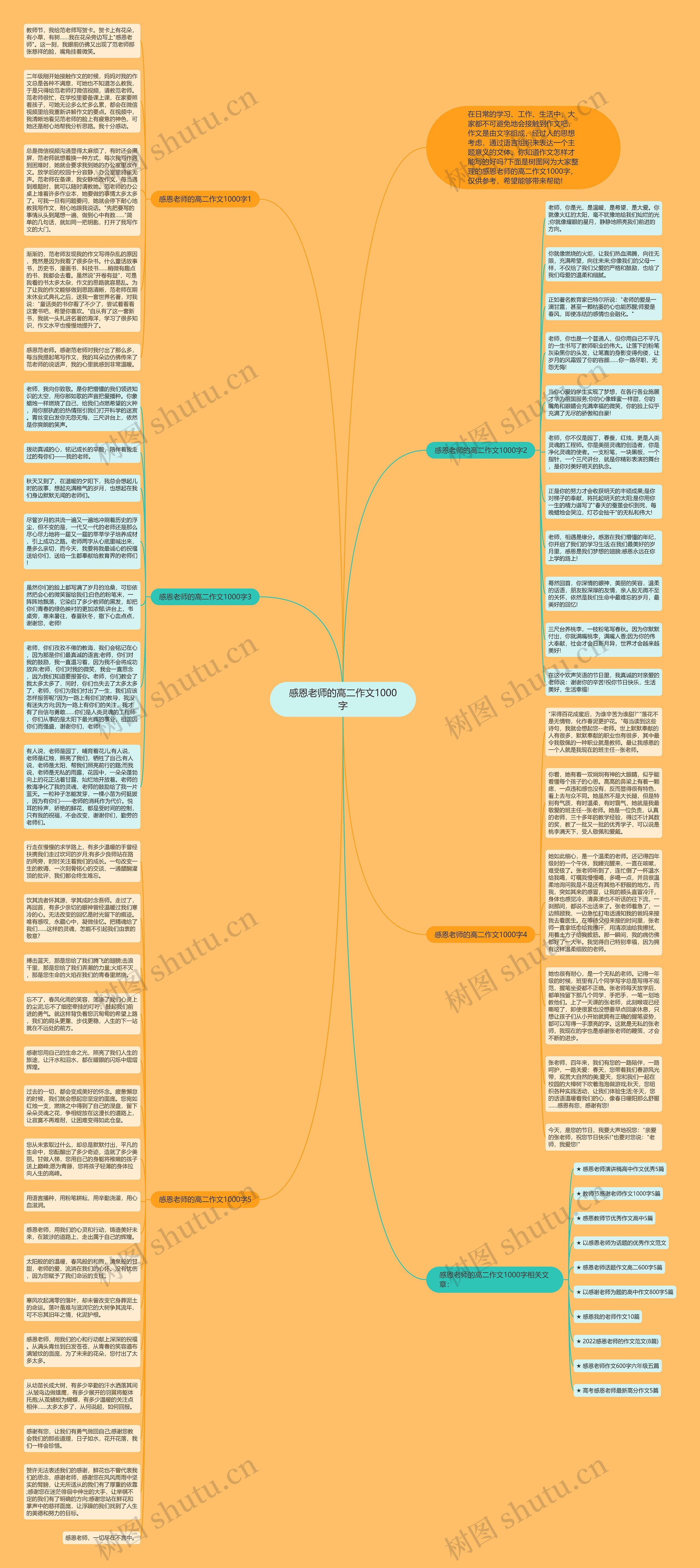 感恩老师的高二作文1000字思维导图