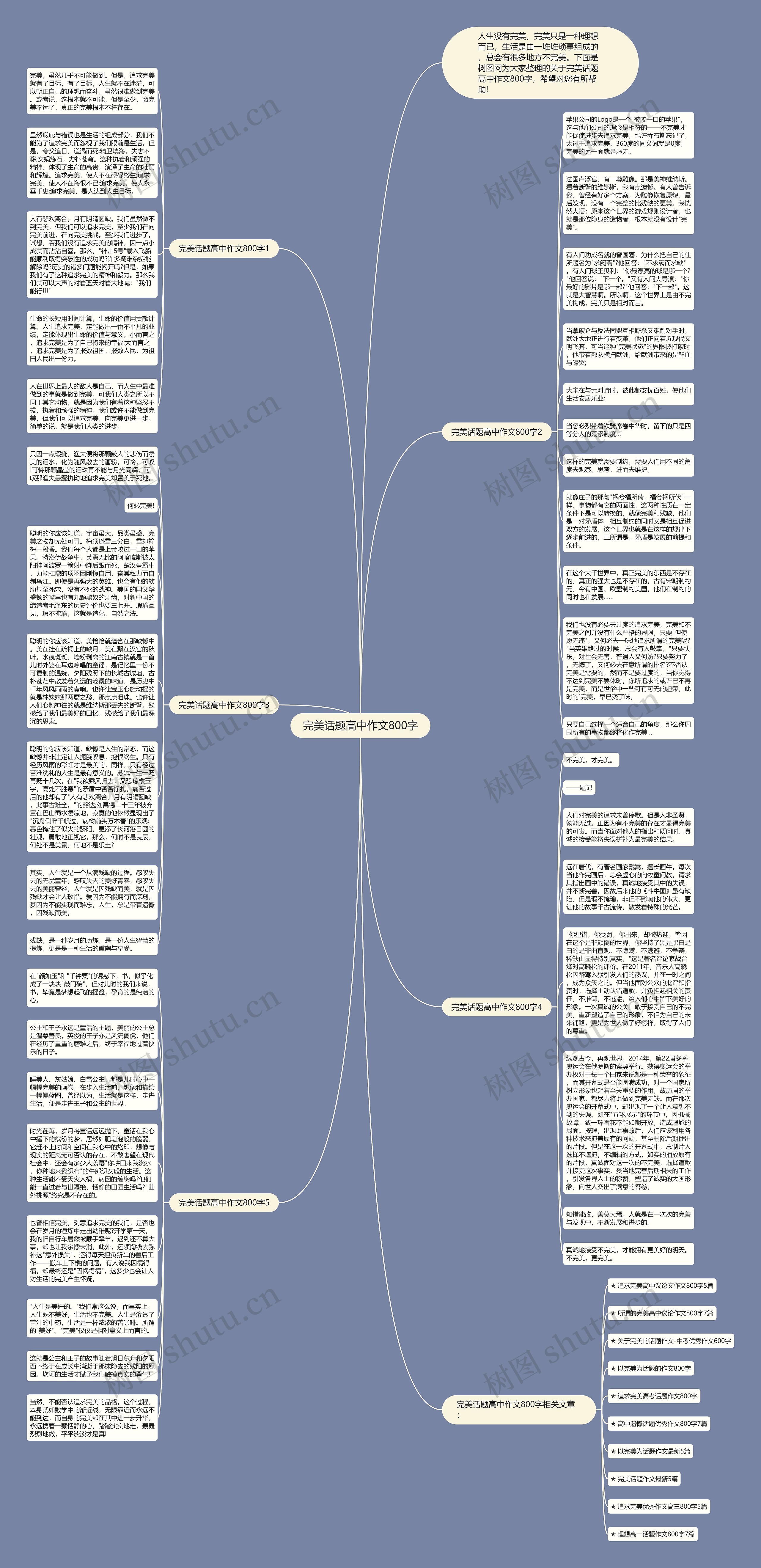 完美话题高中作文800字思维导图