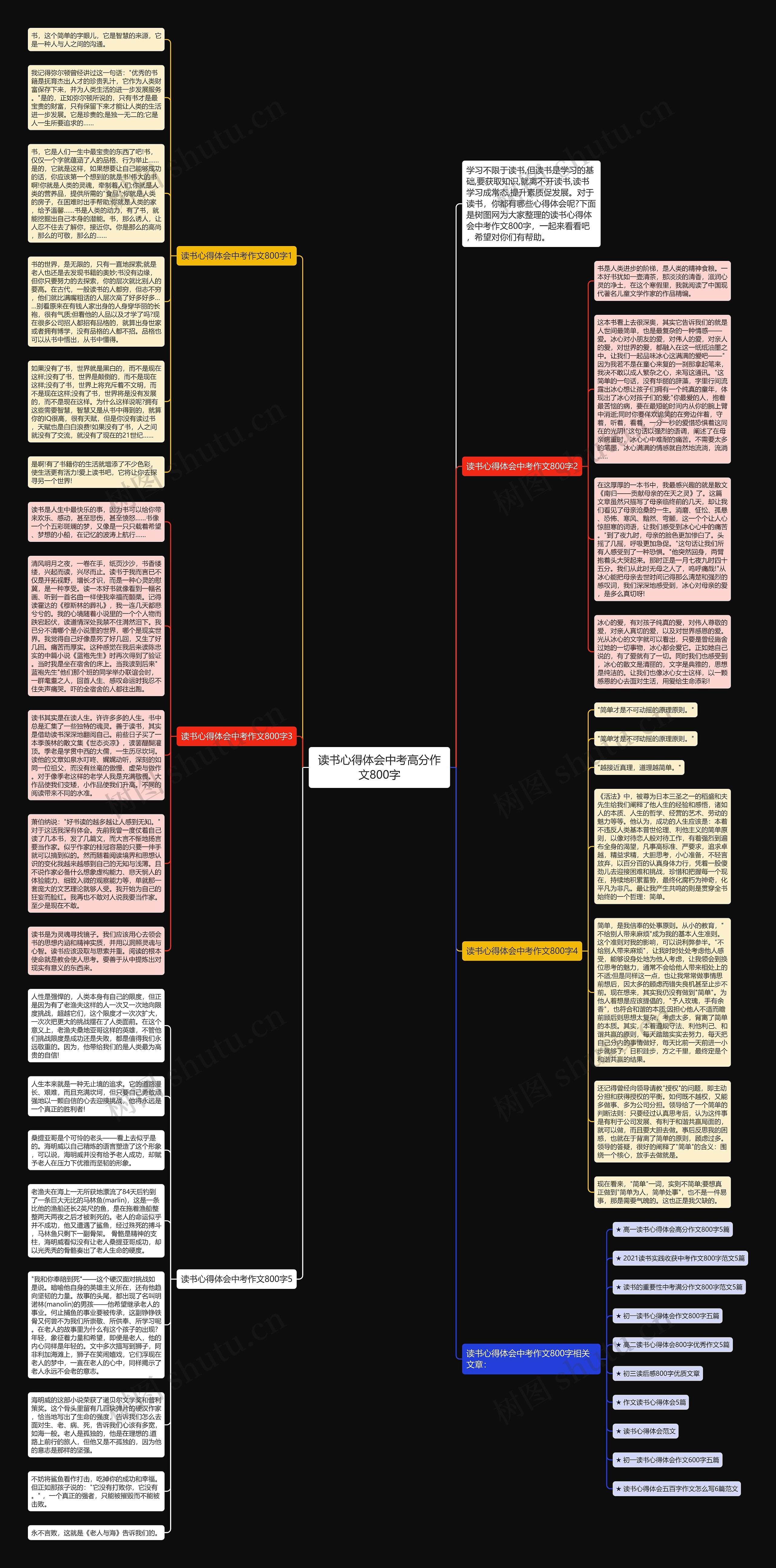 读书心得体会中考高分作文800字