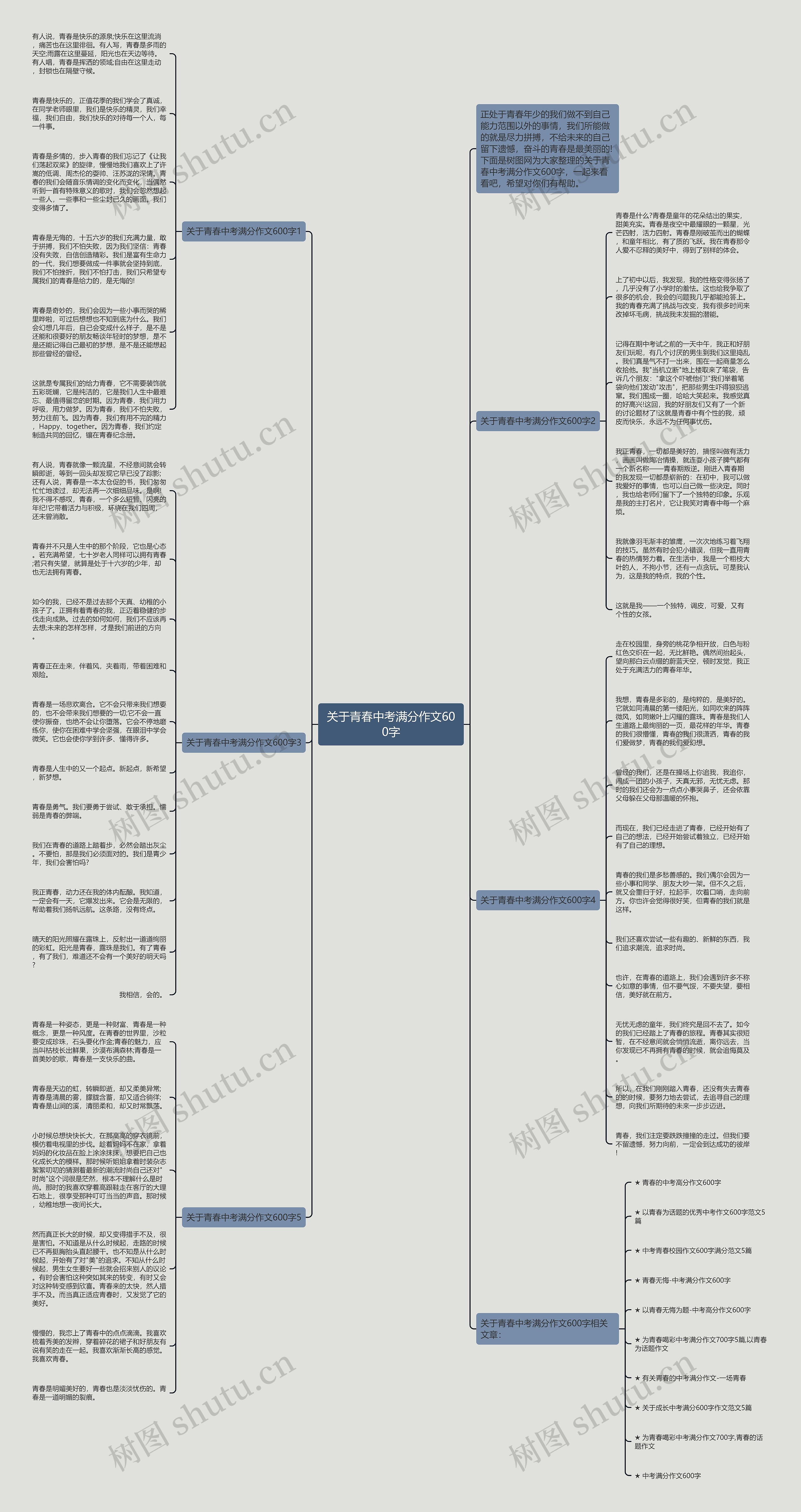 关于青春中考满分作文600字思维导图