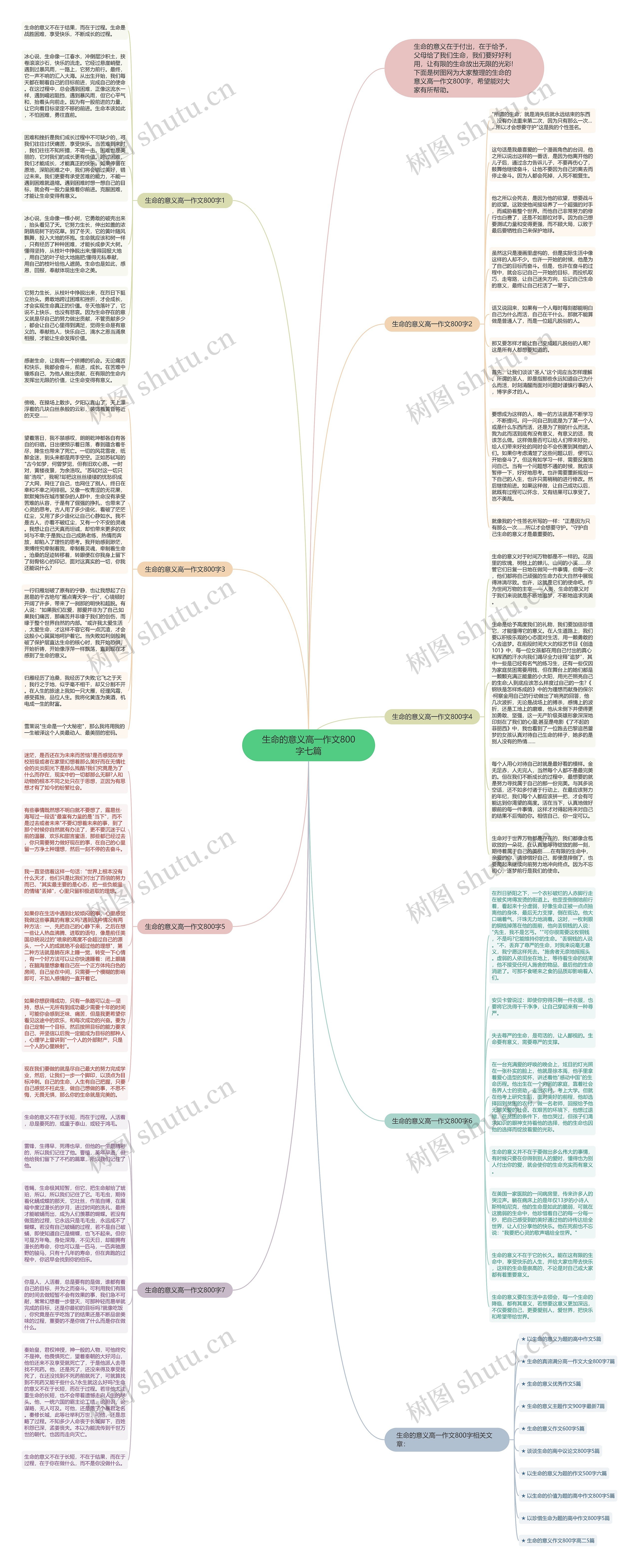 生命的意义高一作文800字七篇思维导图