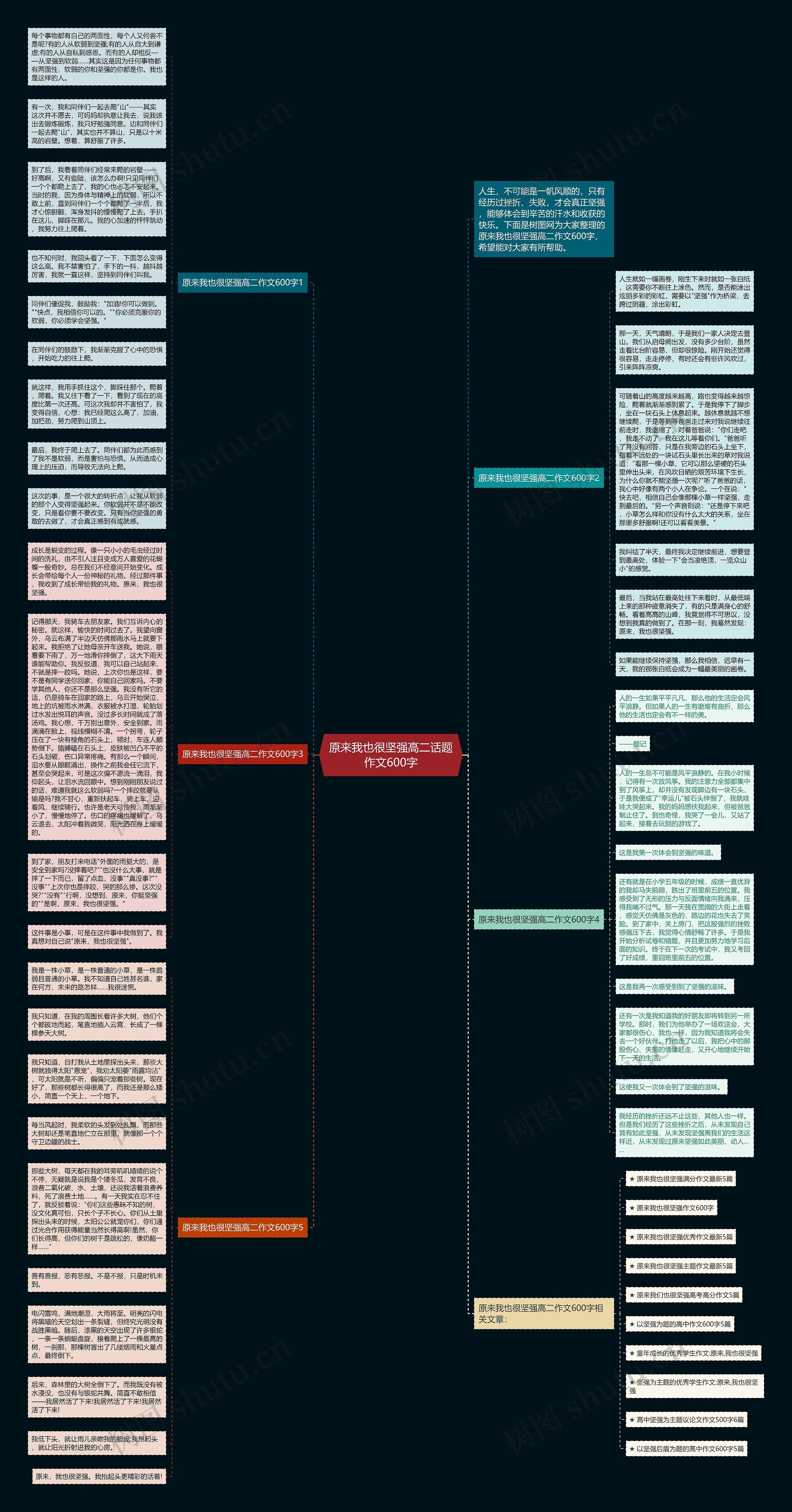 原来我也很坚强高二话题作文600字思维导图