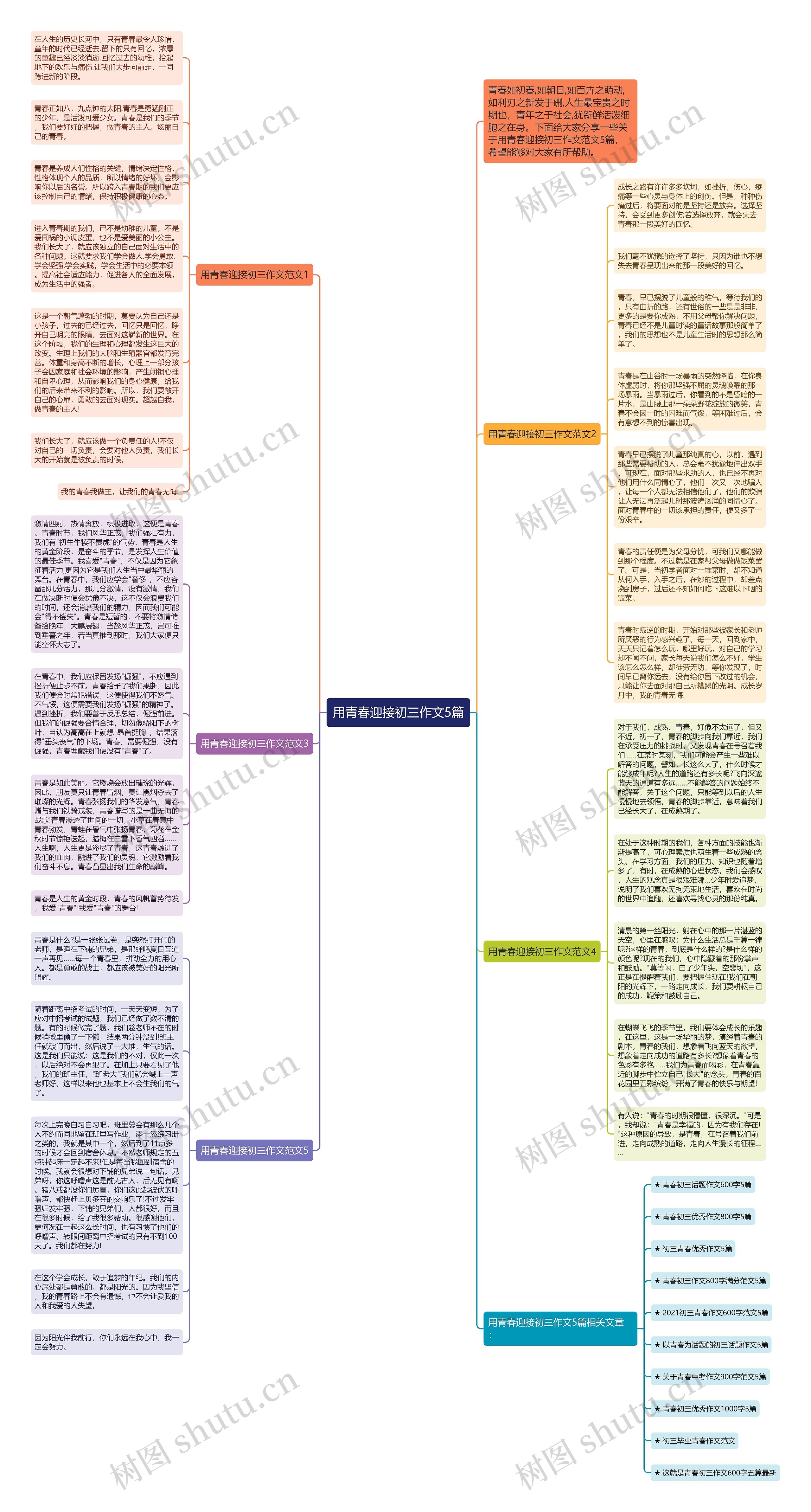 用青春迎接初三作文5篇思维导图