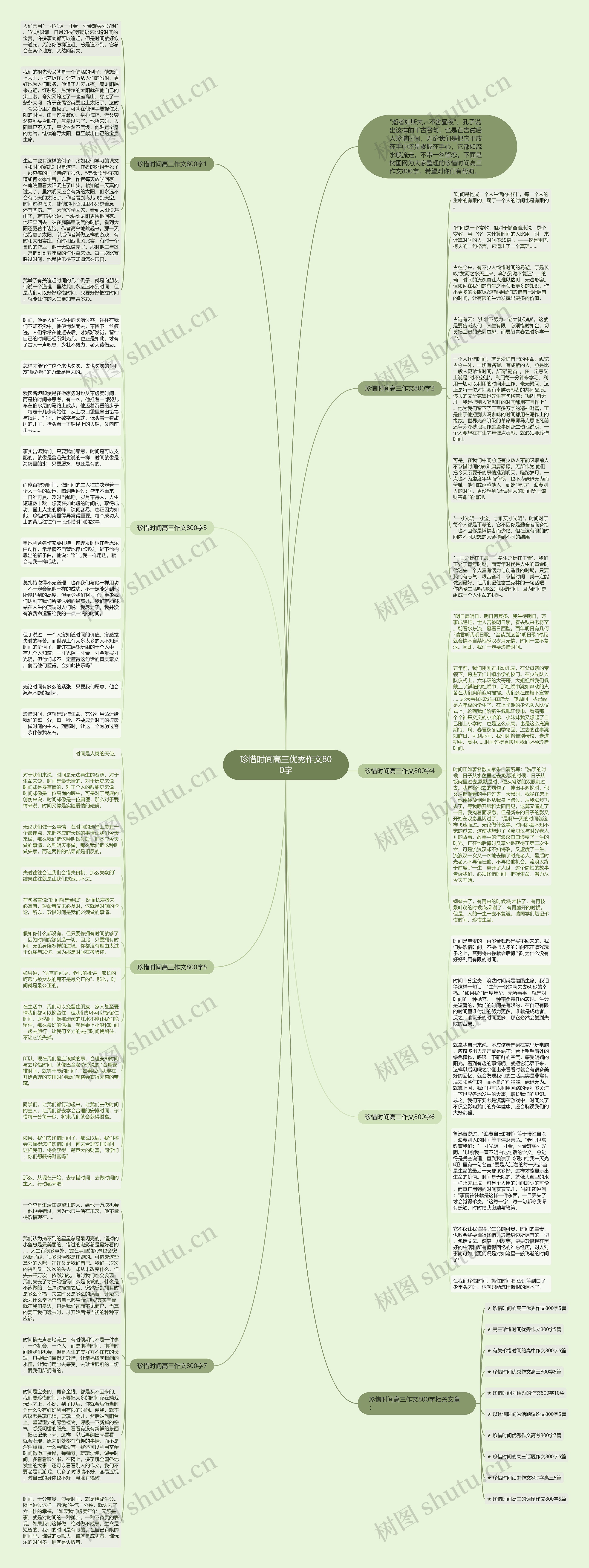 珍惜时间高三优秀作文800字思维导图
