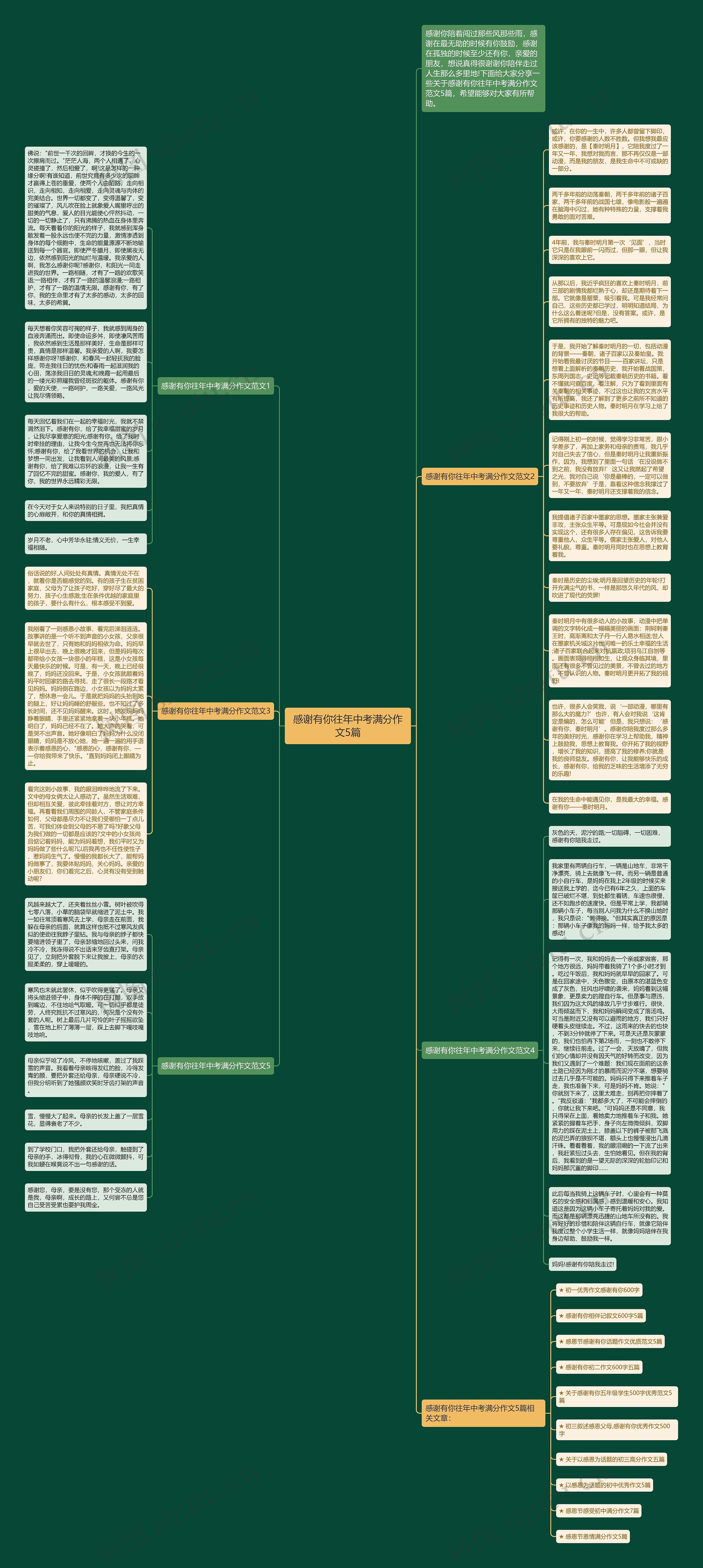 感谢有你往年中考满分作文5篇思维导图