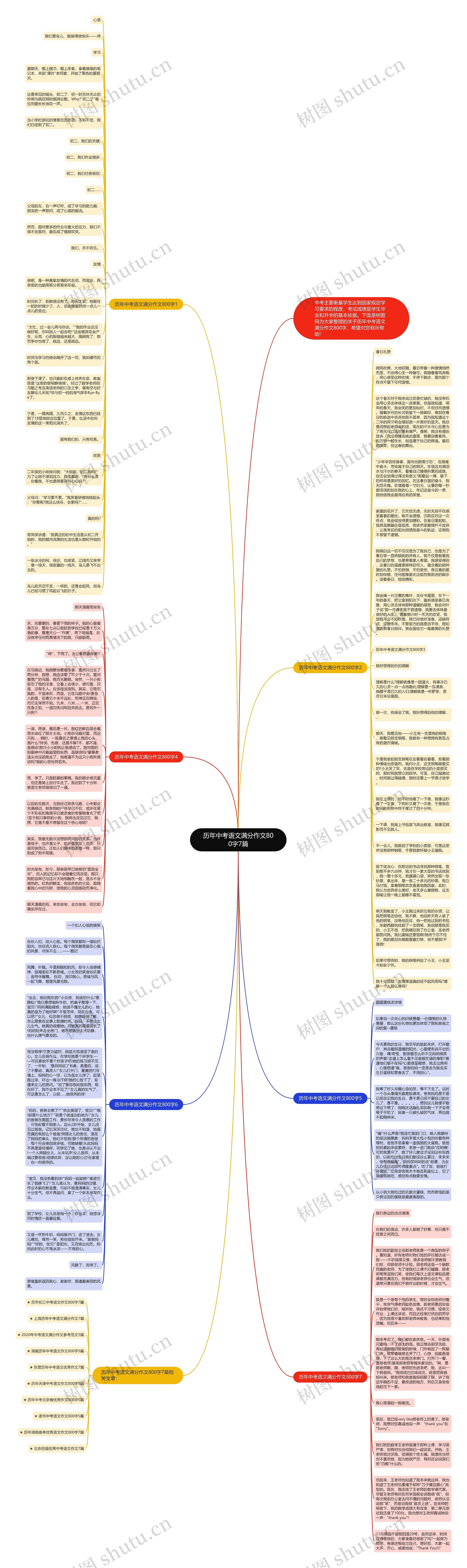 历年中考语文满分作文800字7篇思维导图