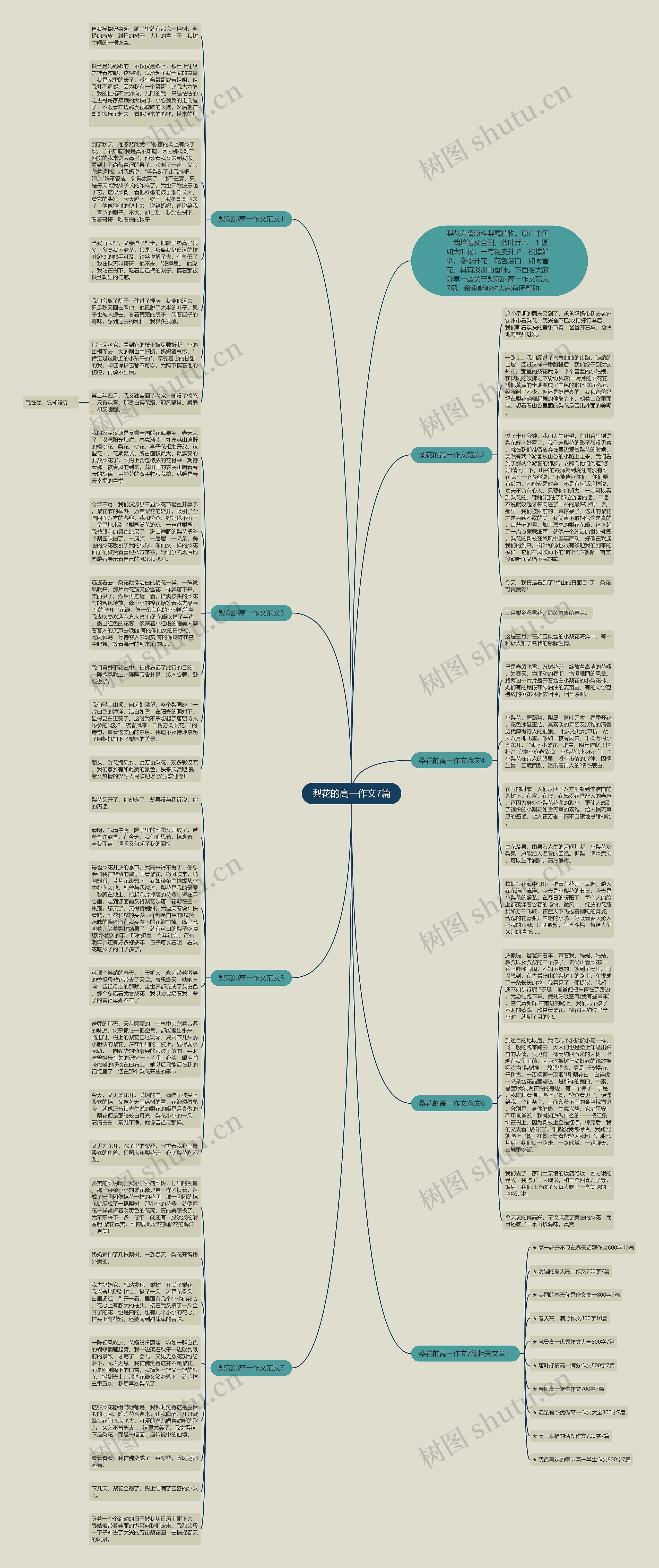 梨花的高一作文7篇思维导图
