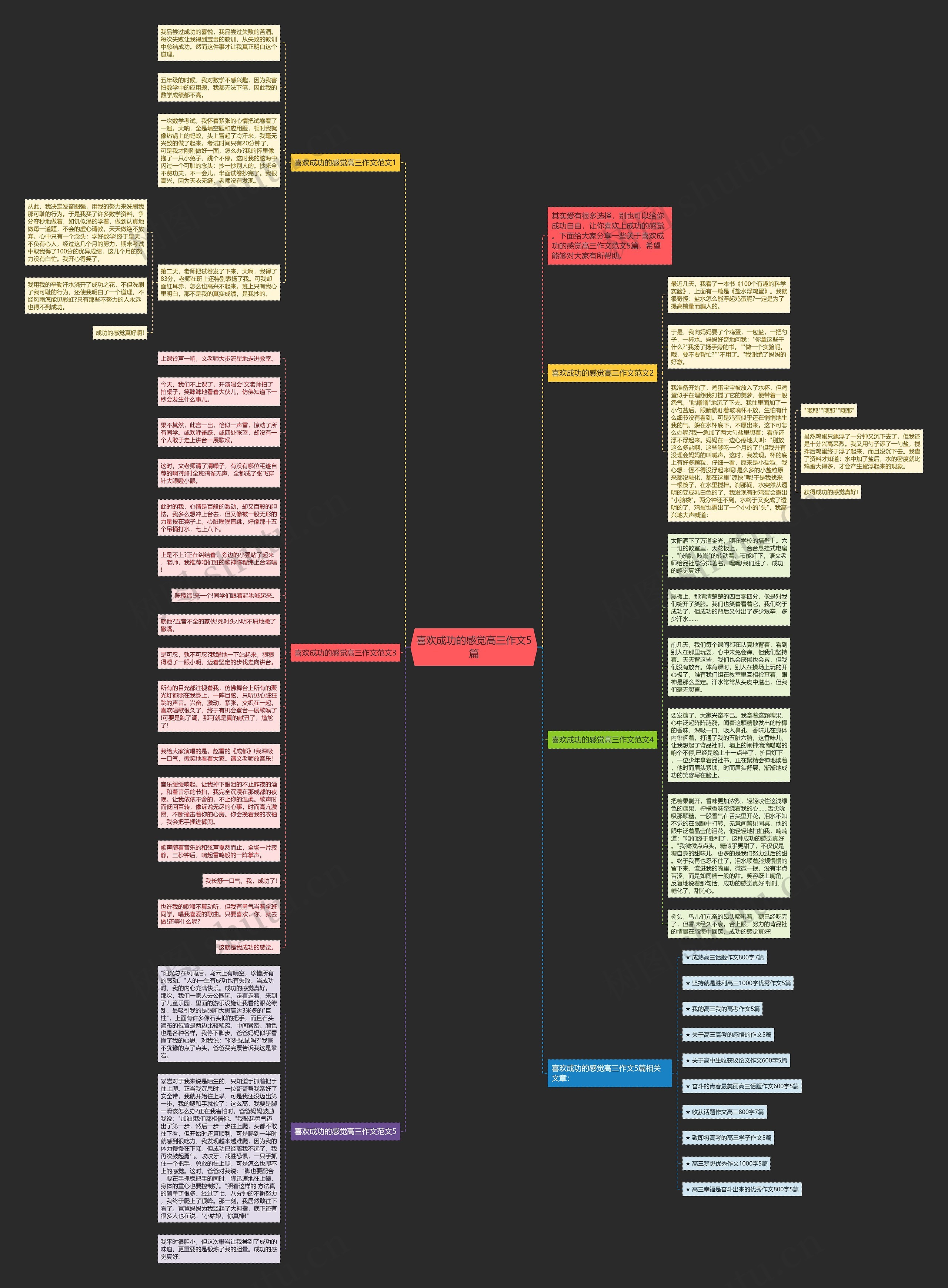 喜欢成功的感觉高三作文5篇思维导图