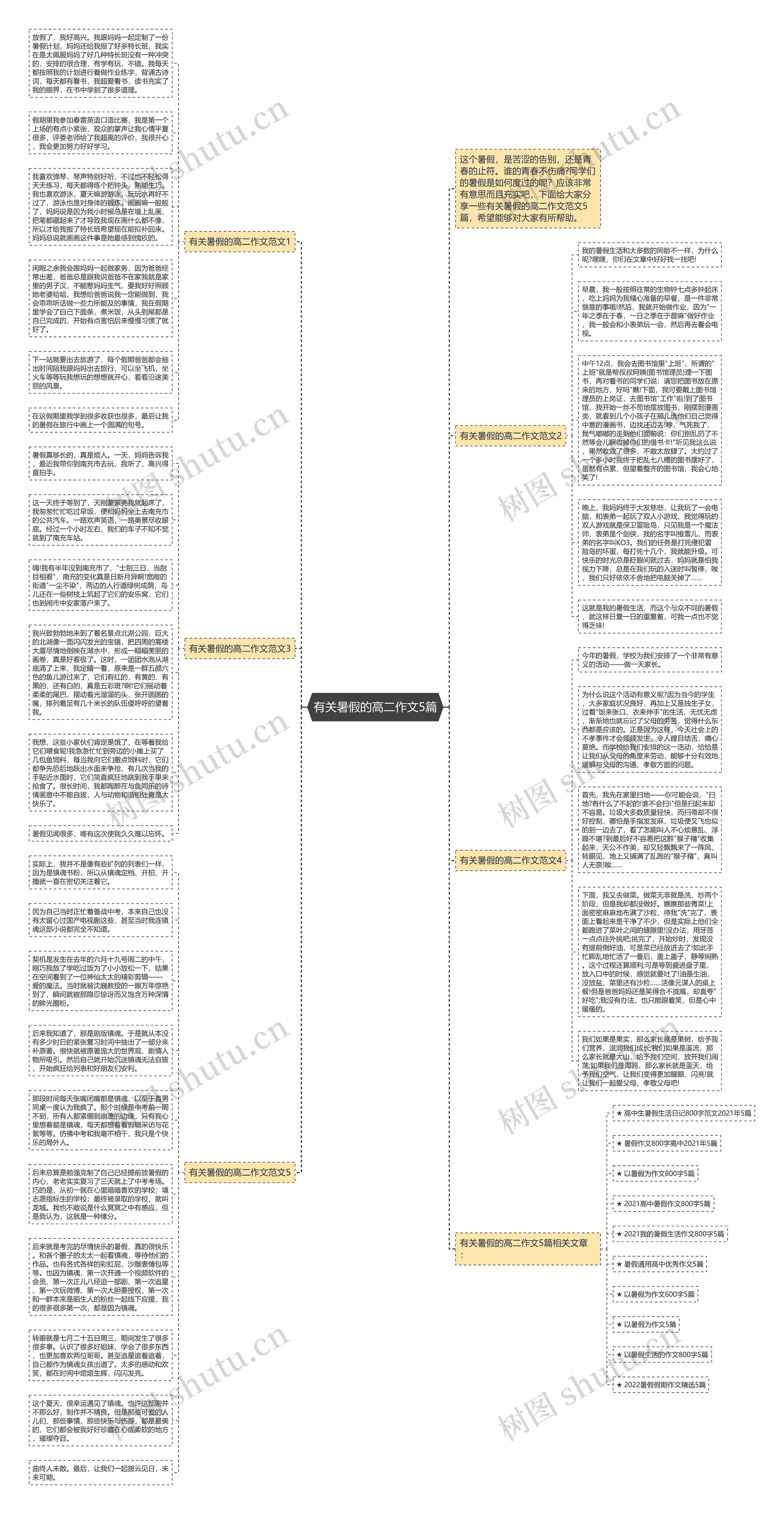 有关暑假的高二作文5篇思维导图