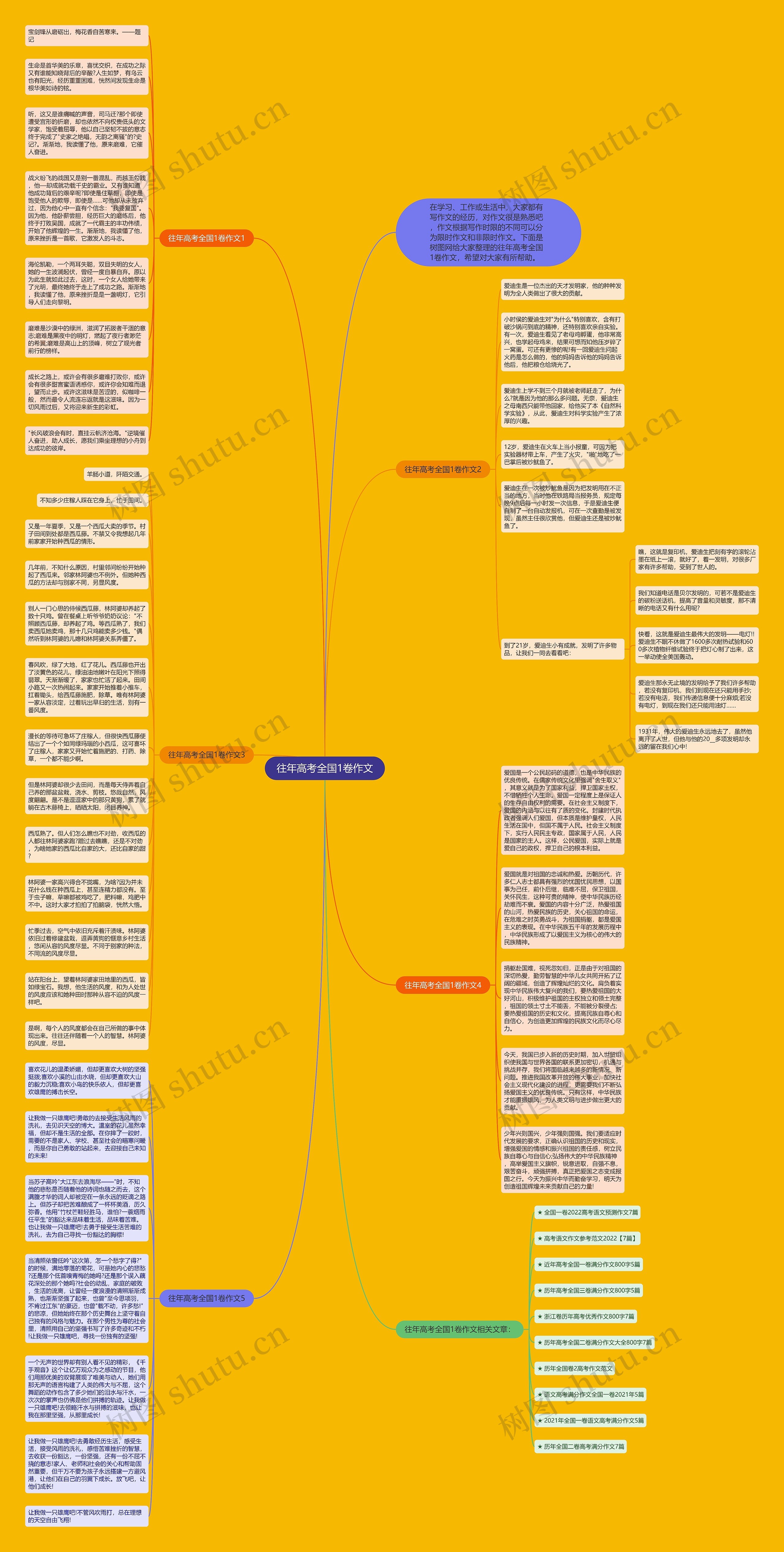 往年高考全国1卷作文思维导图