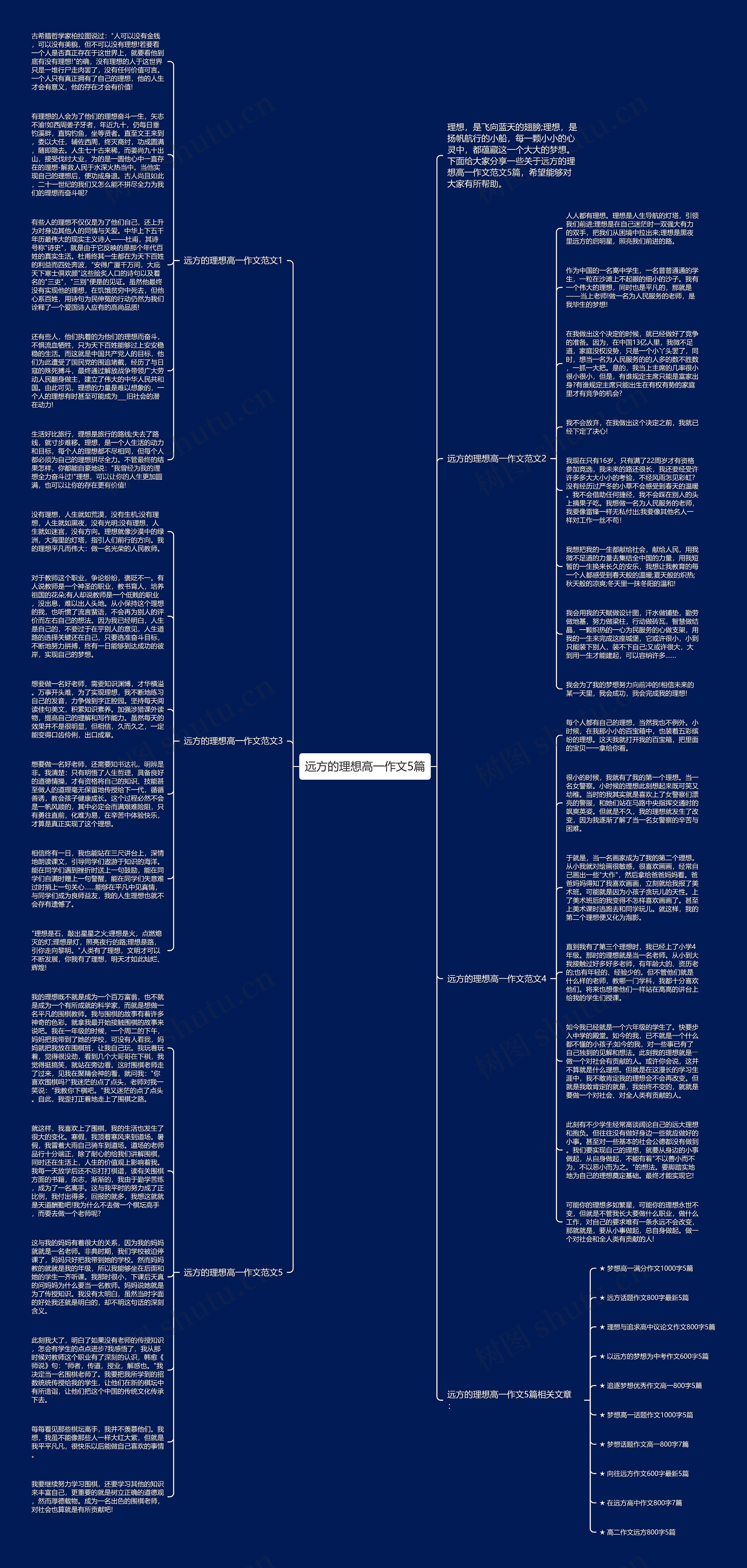 远方的理想高一作文5篇思维导图