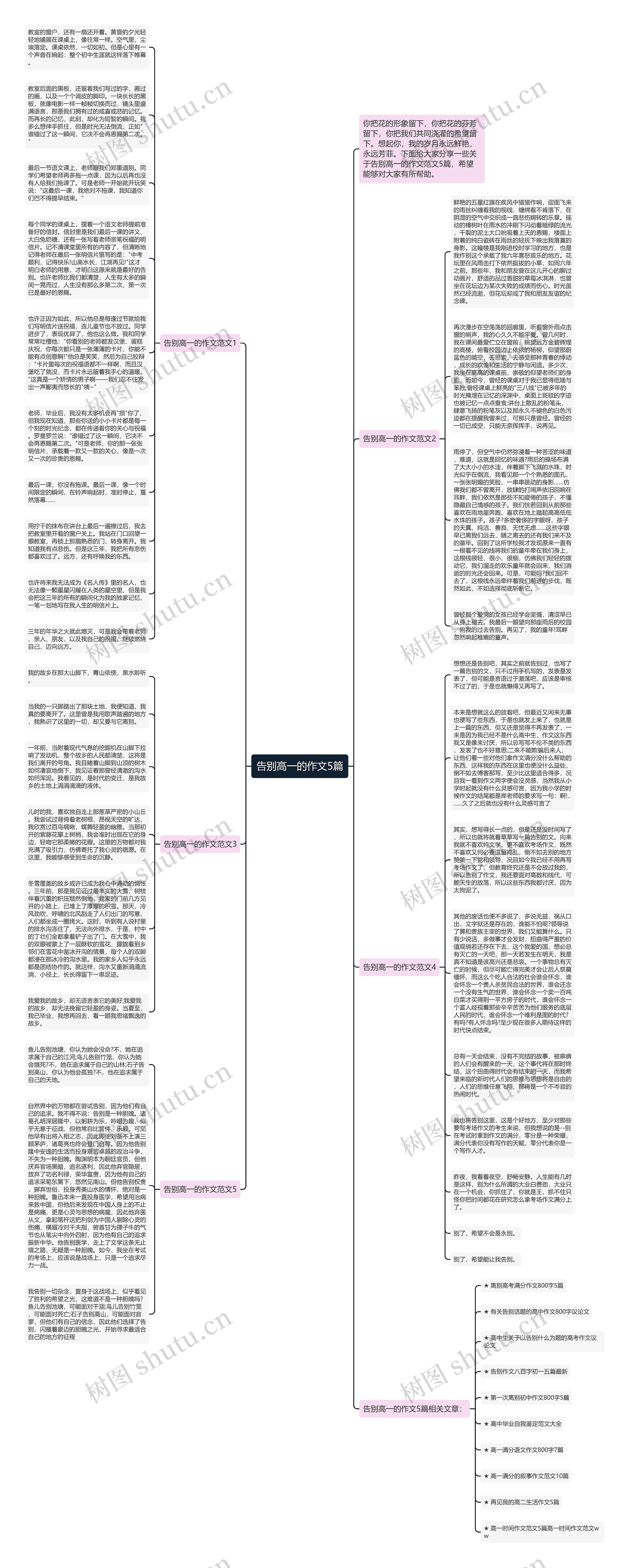 告别高一的作文5篇思维导图