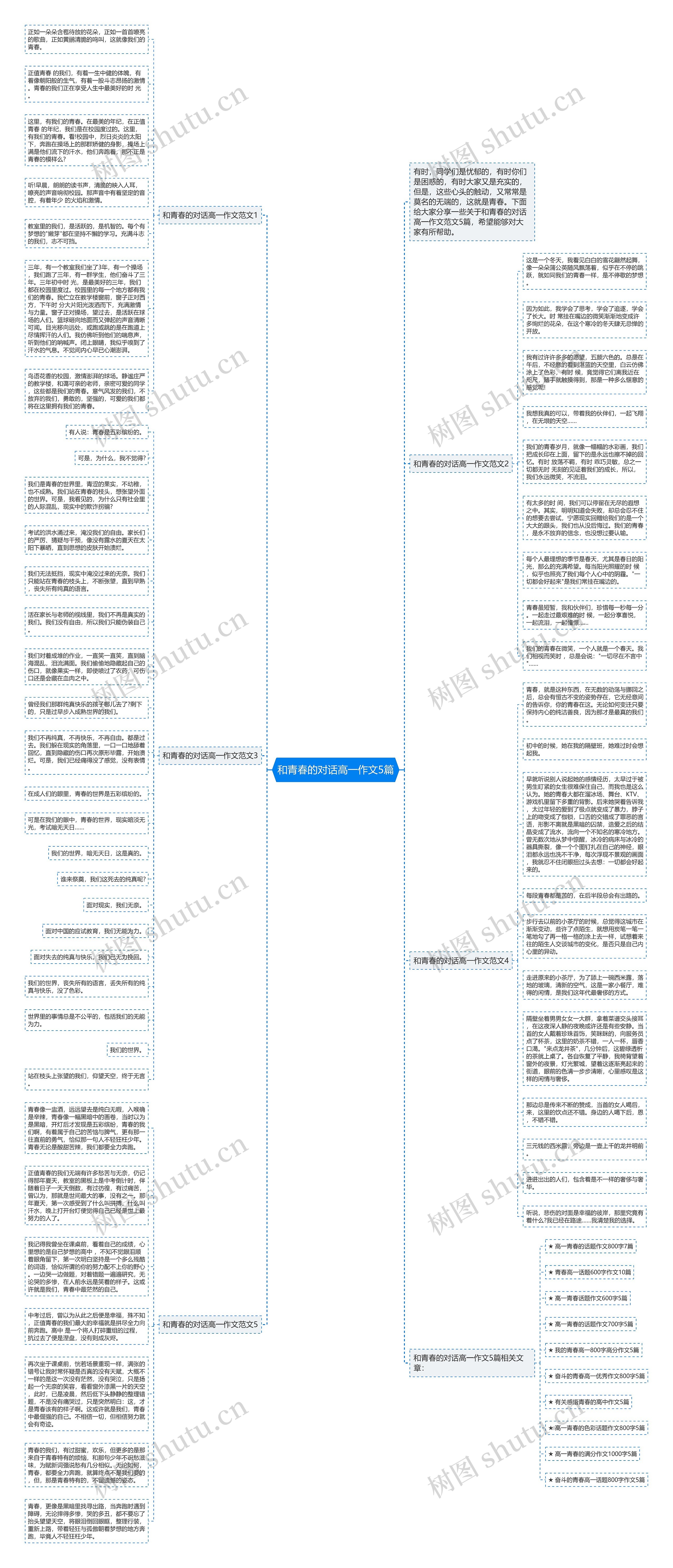 和青春的对话高一作文5篇思维导图