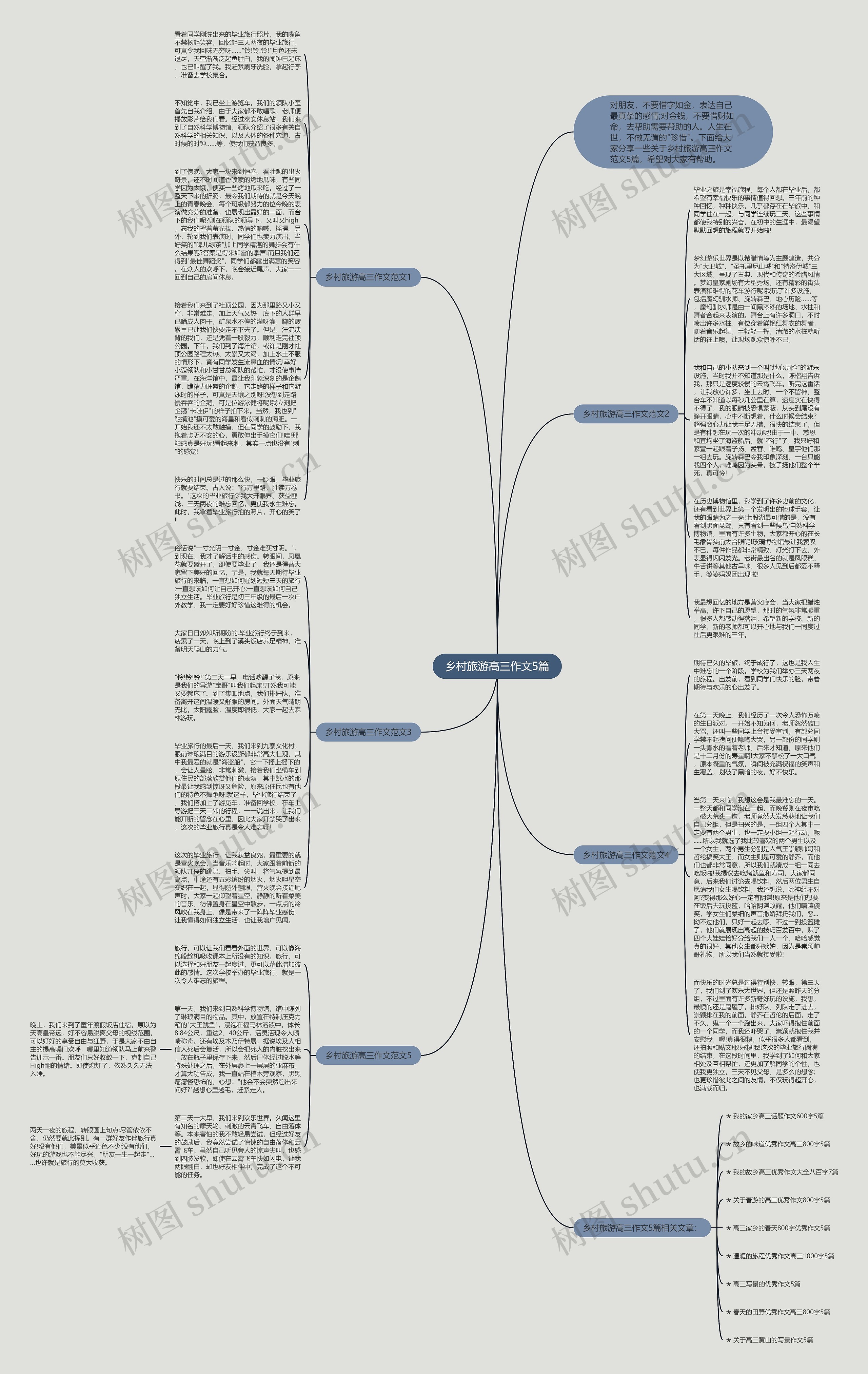 乡村旅游高三作文5篇思维导图