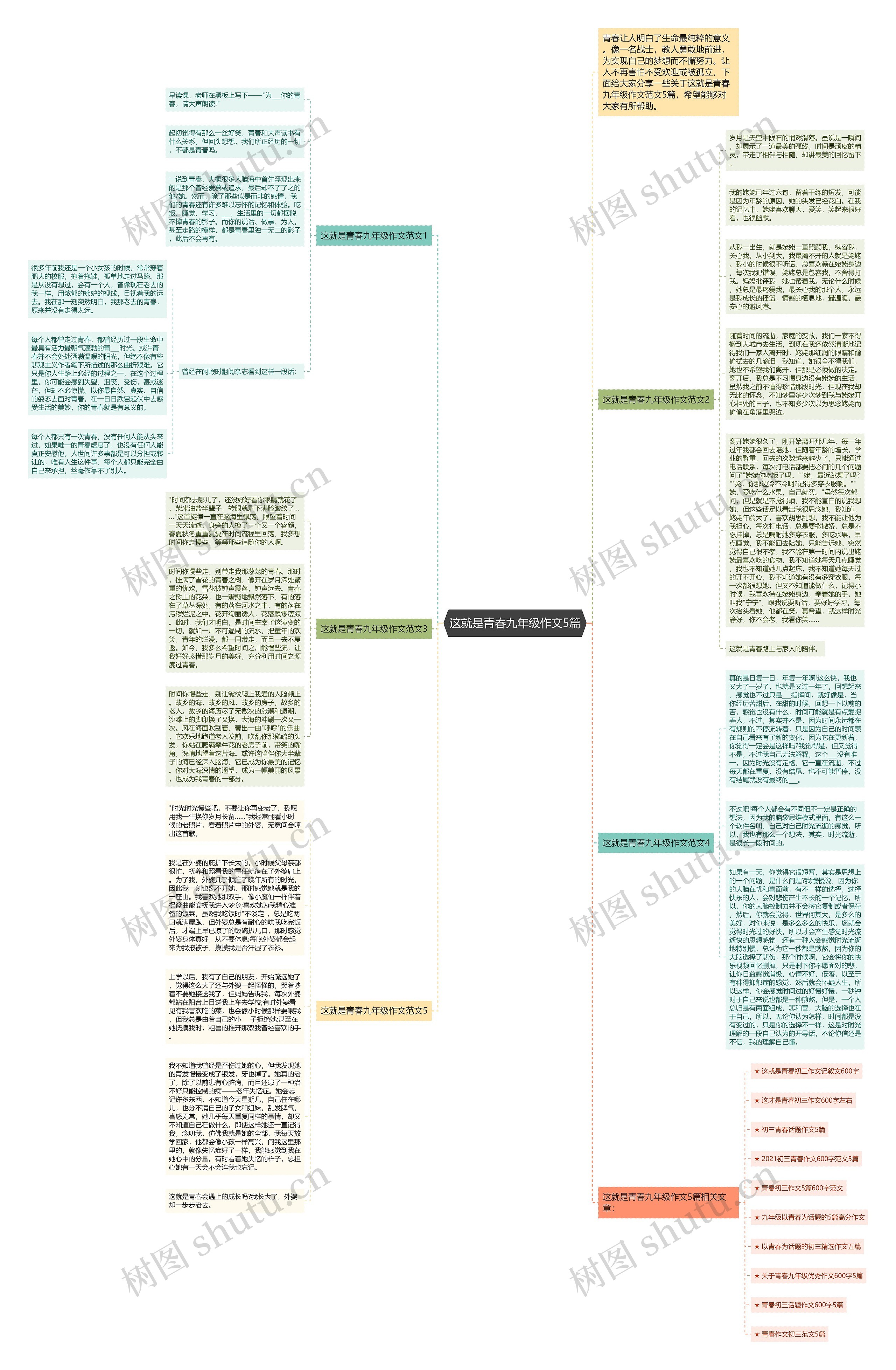 这就是青春九年级作文5篇思维导图