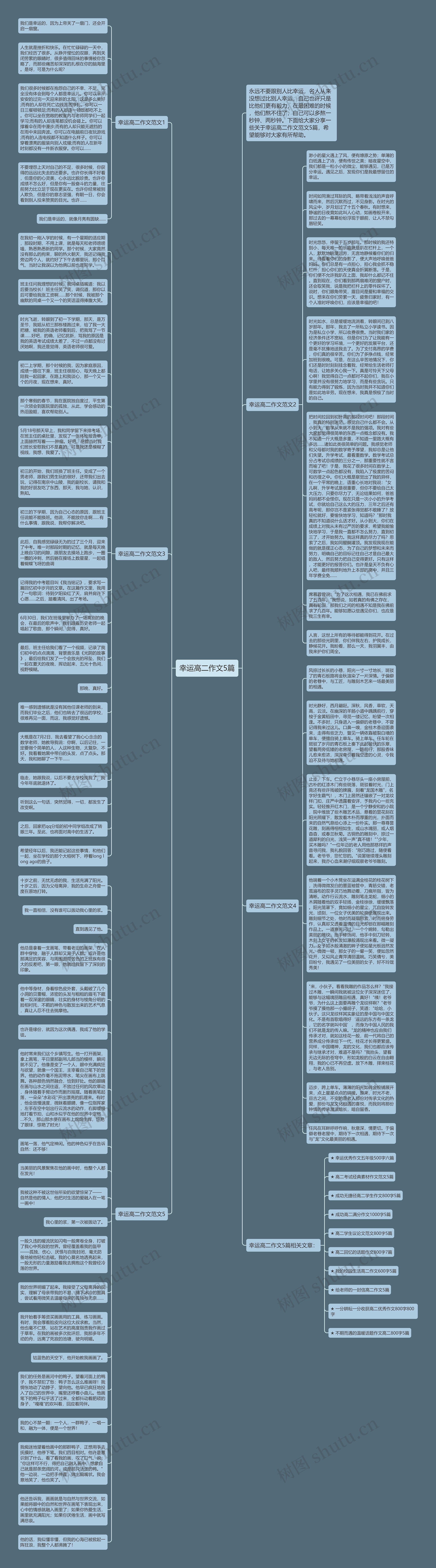 幸运高二作文5篇思维导图