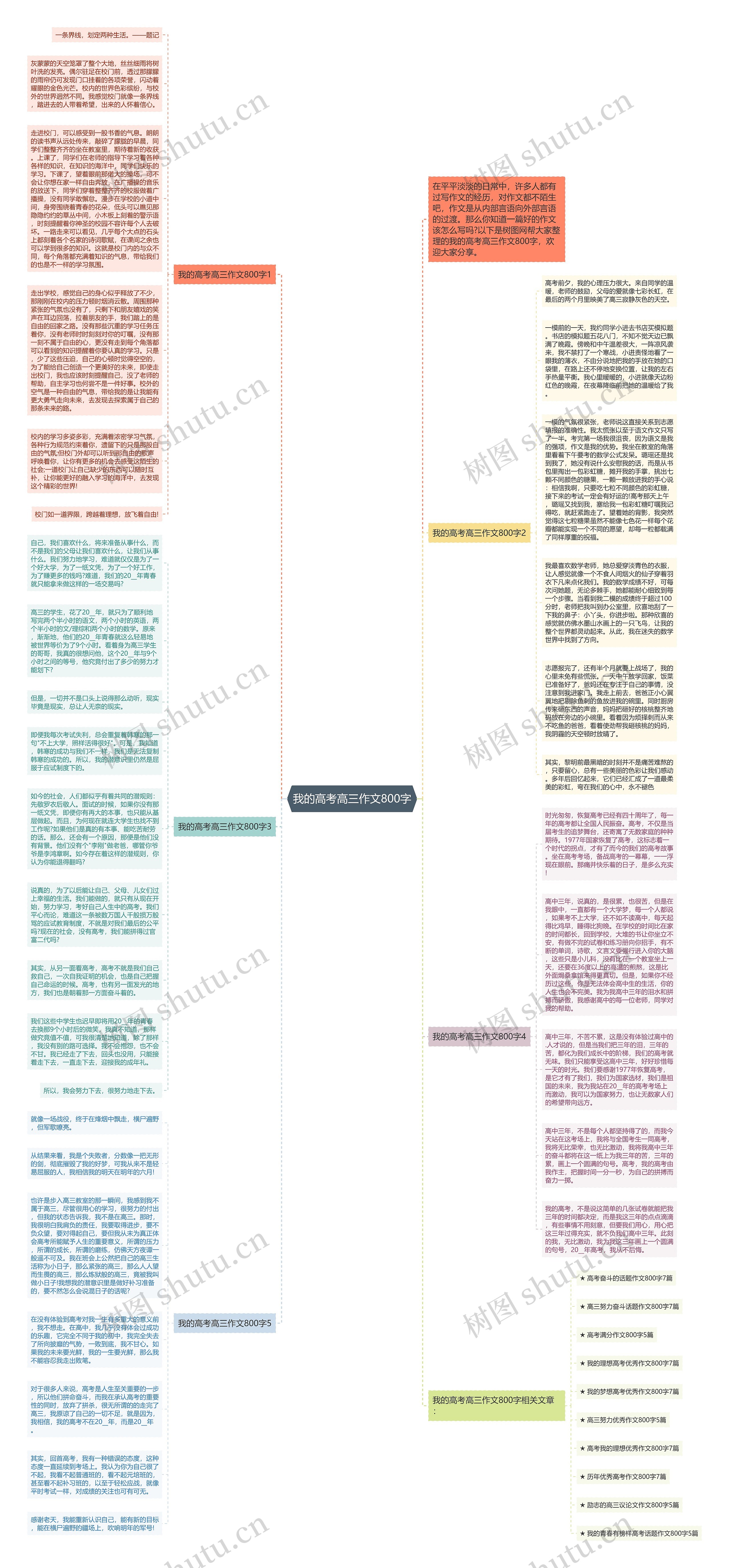 我的高考高三作文800字思维导图