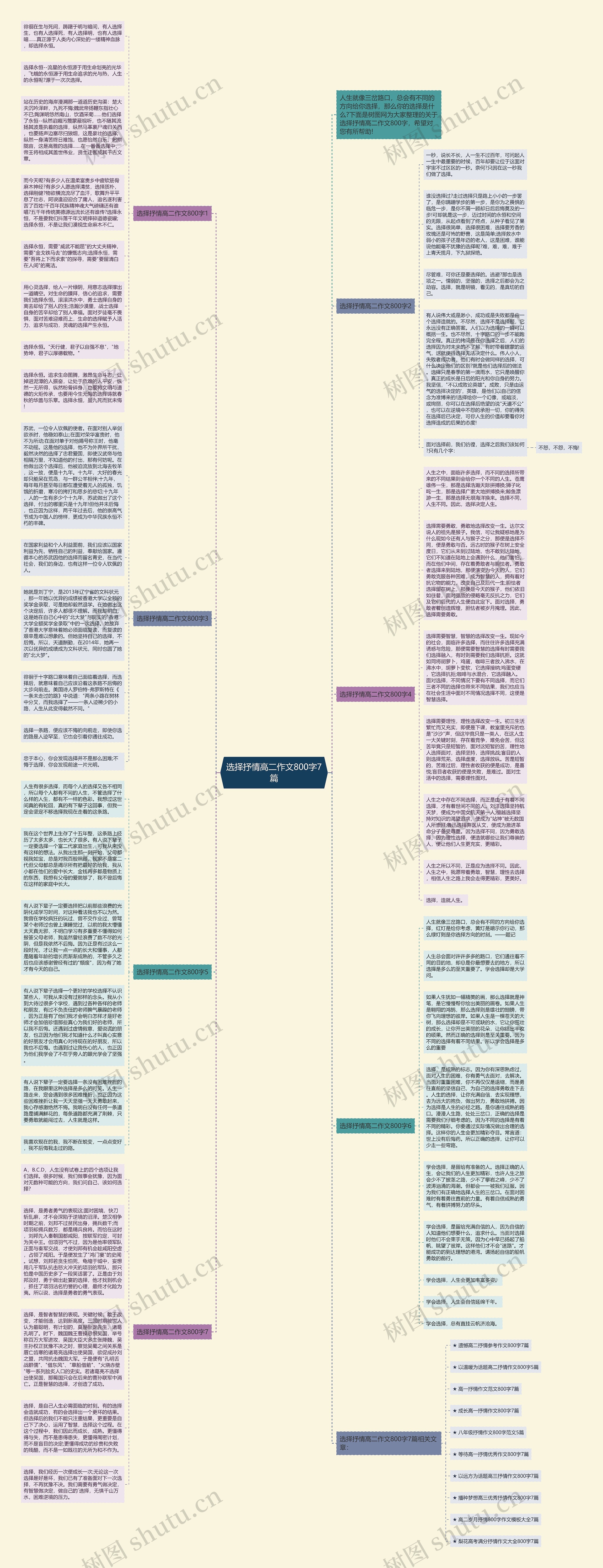 选择抒情高二作文800字7篇思维导图