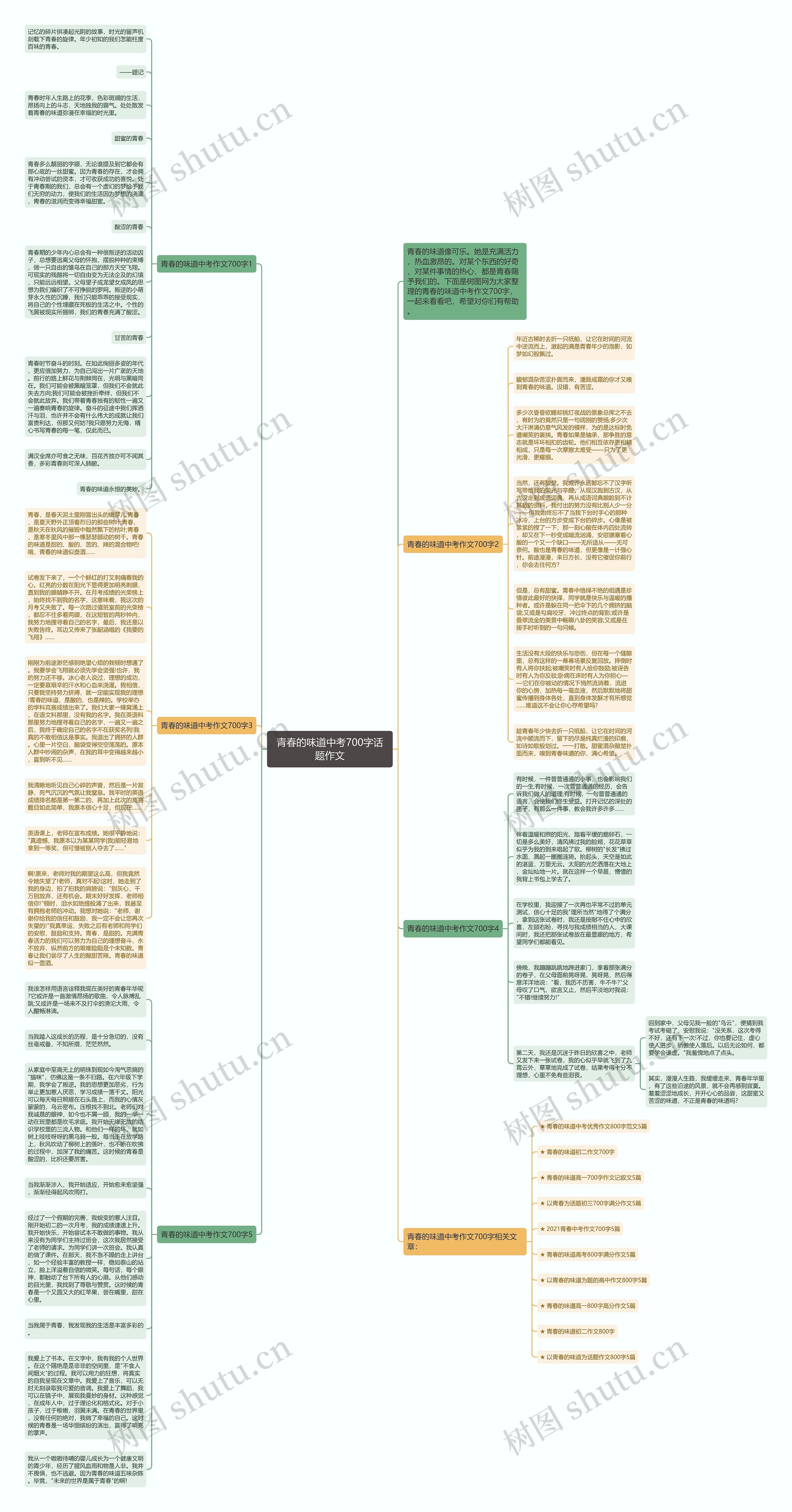 青春的味道中考700字话题作文思维导图