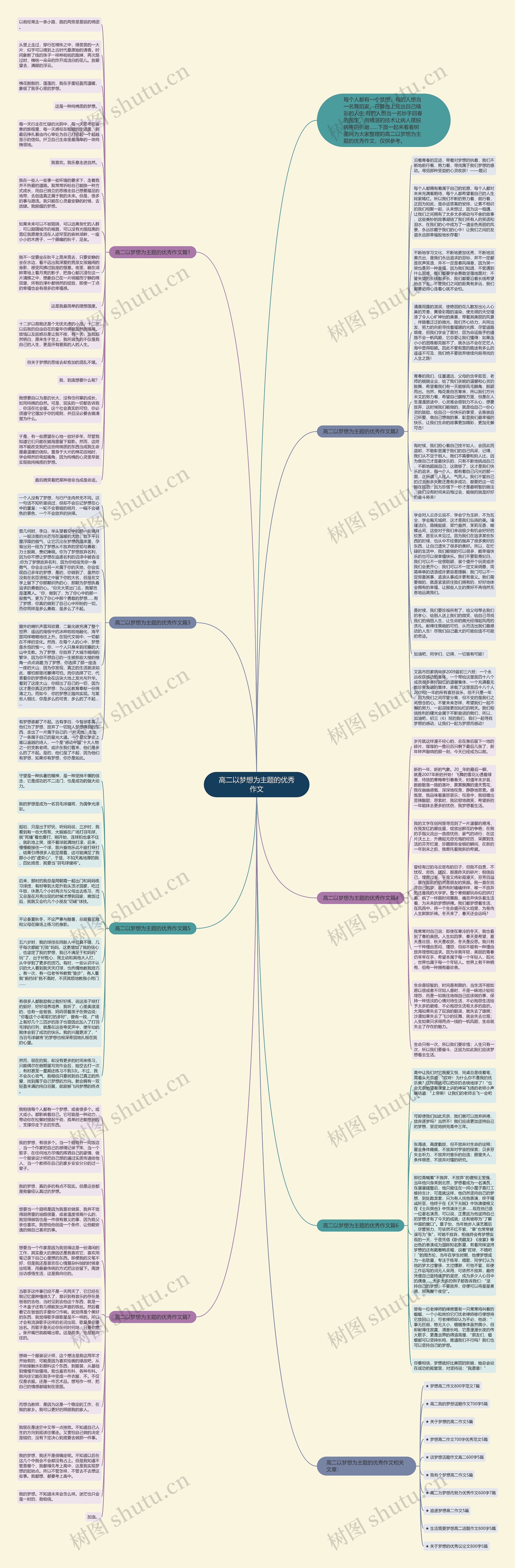 高二以梦想为主题的优秀作文思维导图