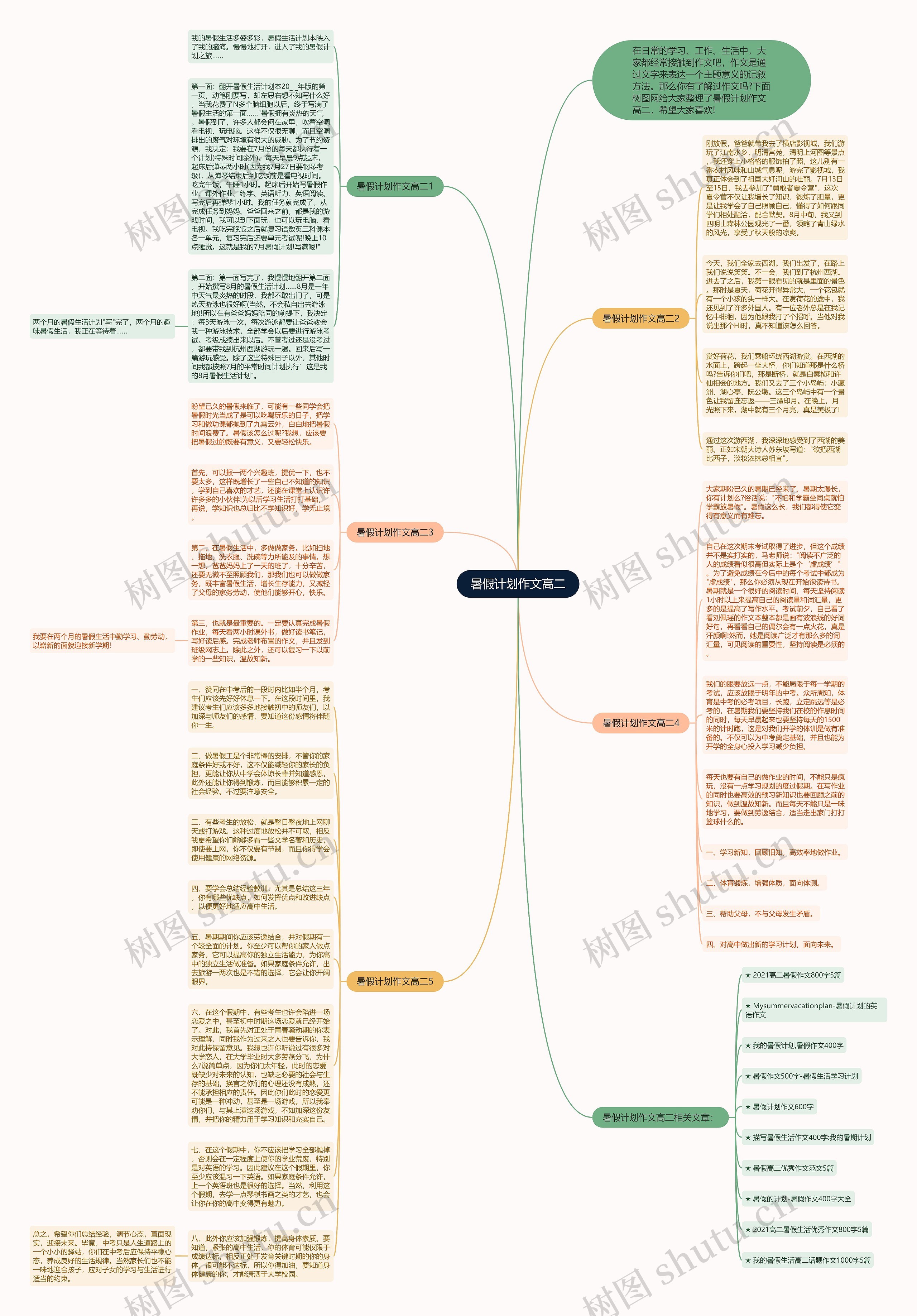 暑假计划作文高二思维导图